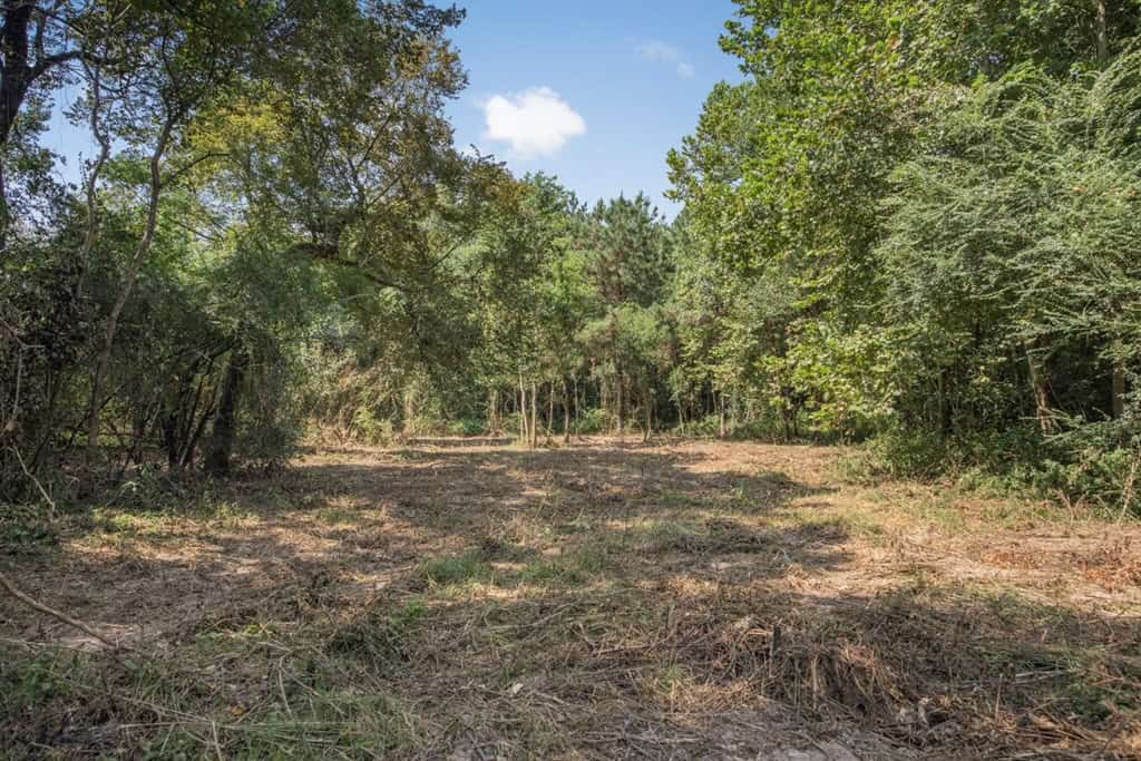 137 Acres for Sale with Comite River Frontage