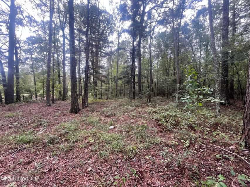 42 Acres for Sale with Old Country Home Scott Co MS
