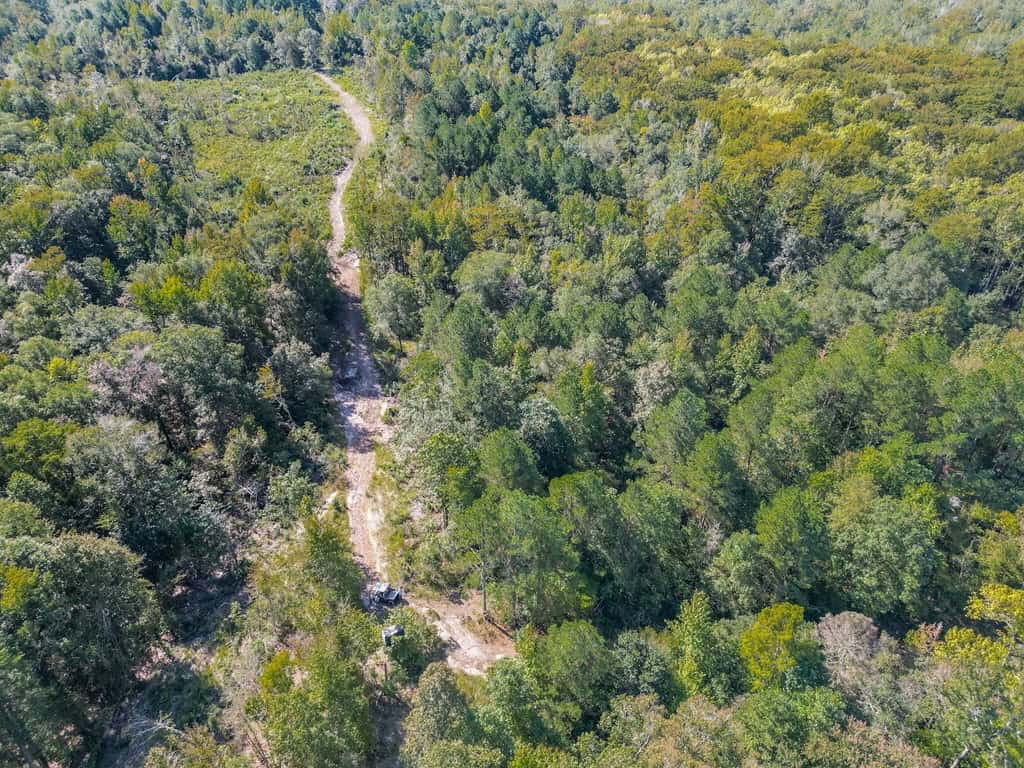 Hunting and Timberland for Sale in Ouachita Parish, LA