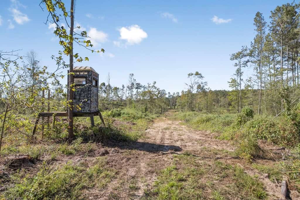 Small Hunting Tract in Amite County, MS