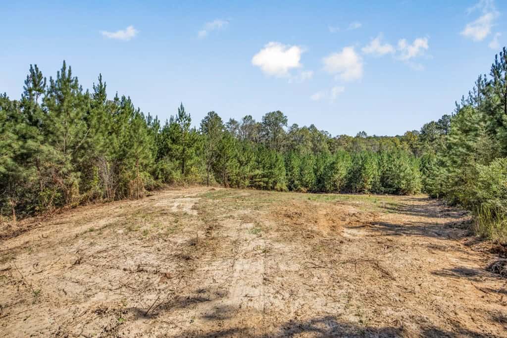 Franklin County Land Adjoining Homochitto National Forest