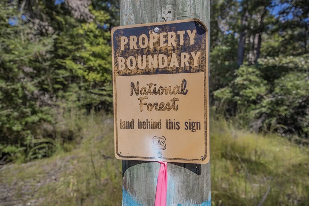 Affordable Hunting Property Adjoining National Forest