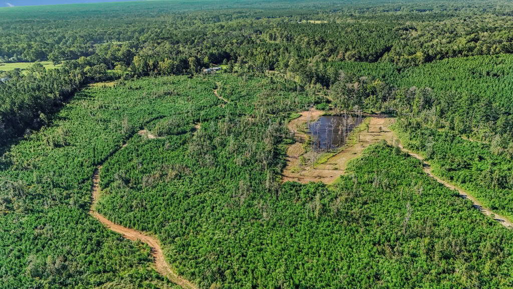 Small Hunting Tract in Amite County, MS