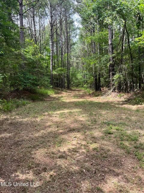 28 Acres in Hinds County