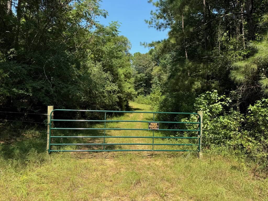 45 Acre Timberland Hunting Lincoln County South MS