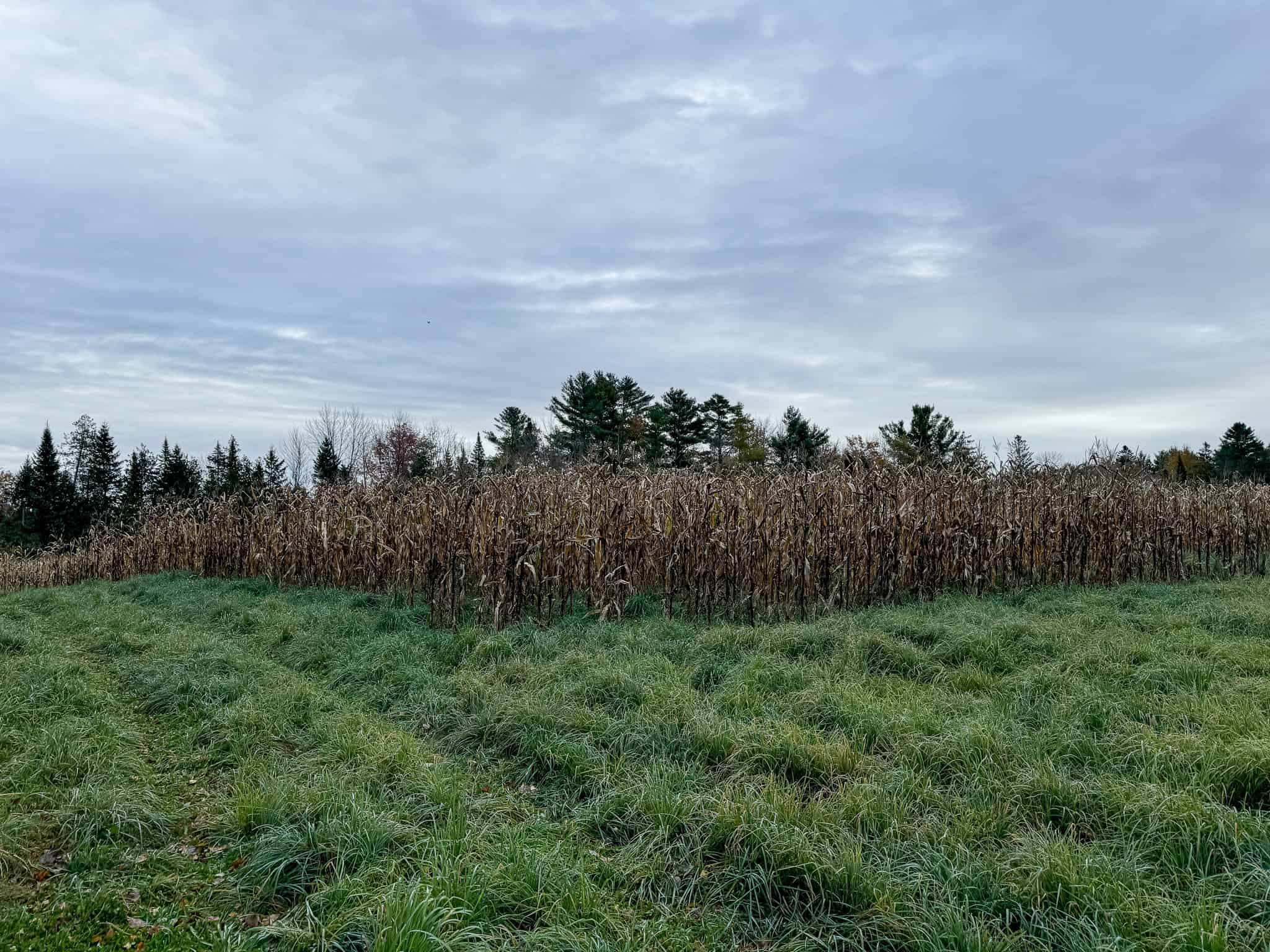 Homestead & Hunting Land in Central Maine
