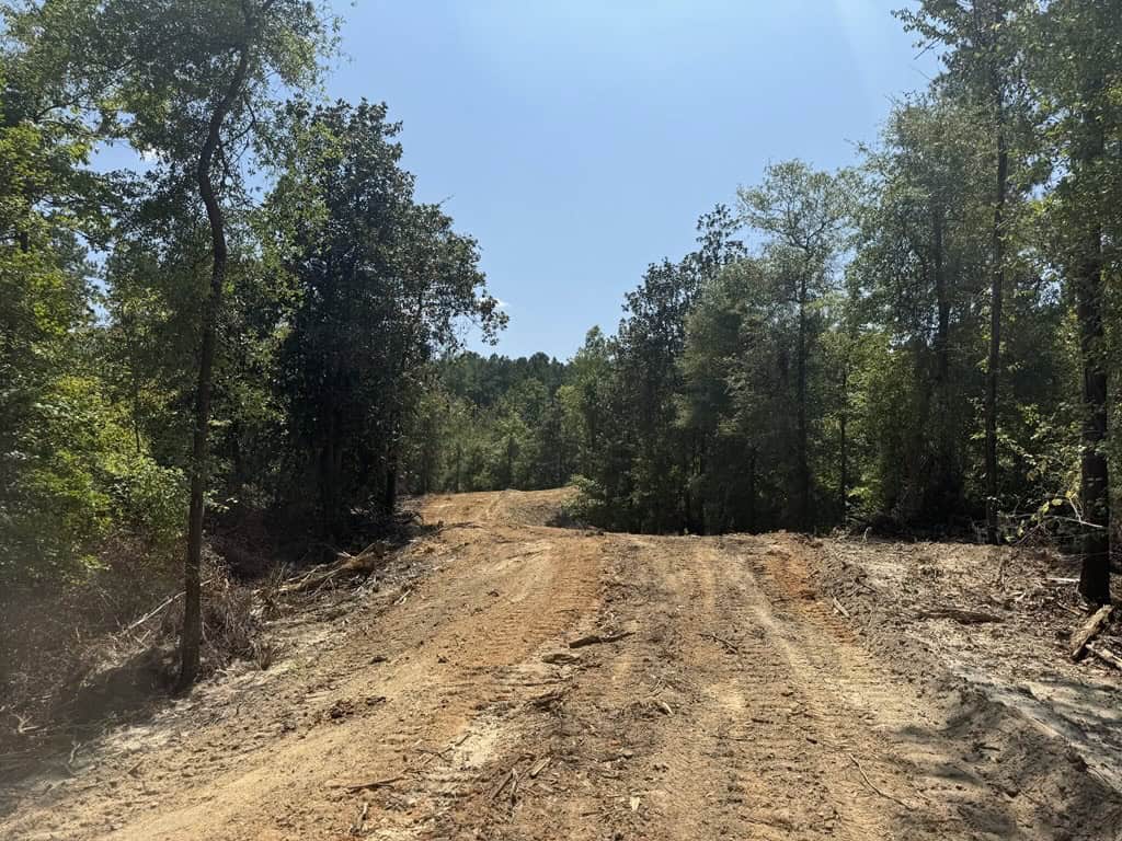296 Acre Timberland for Sale with Creek Southwest MS