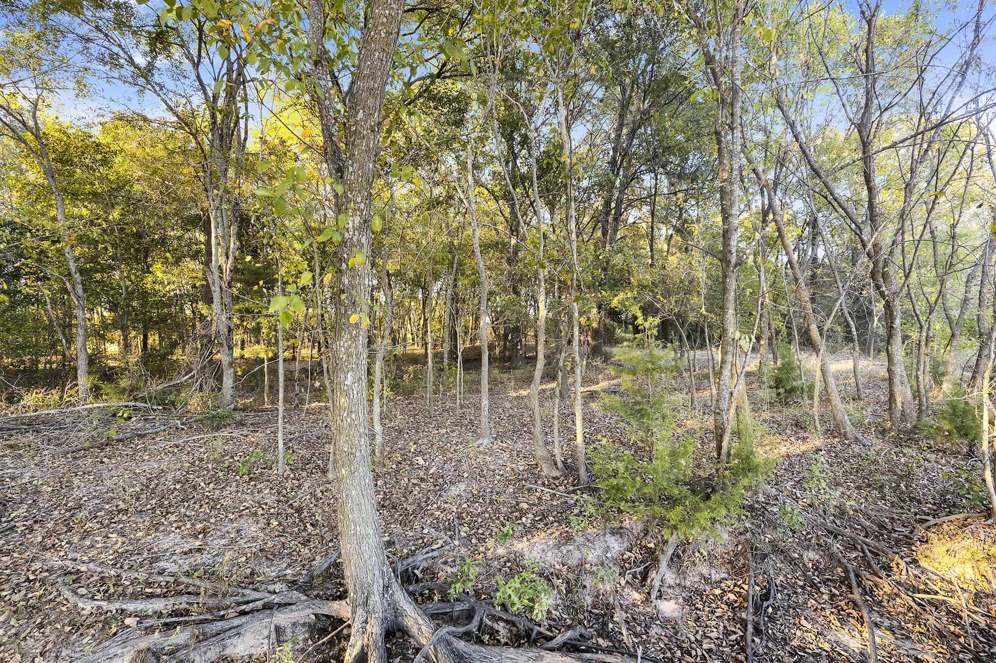 SOLD! Texas Land for Sale East of Dallas Near Ben Wheeler