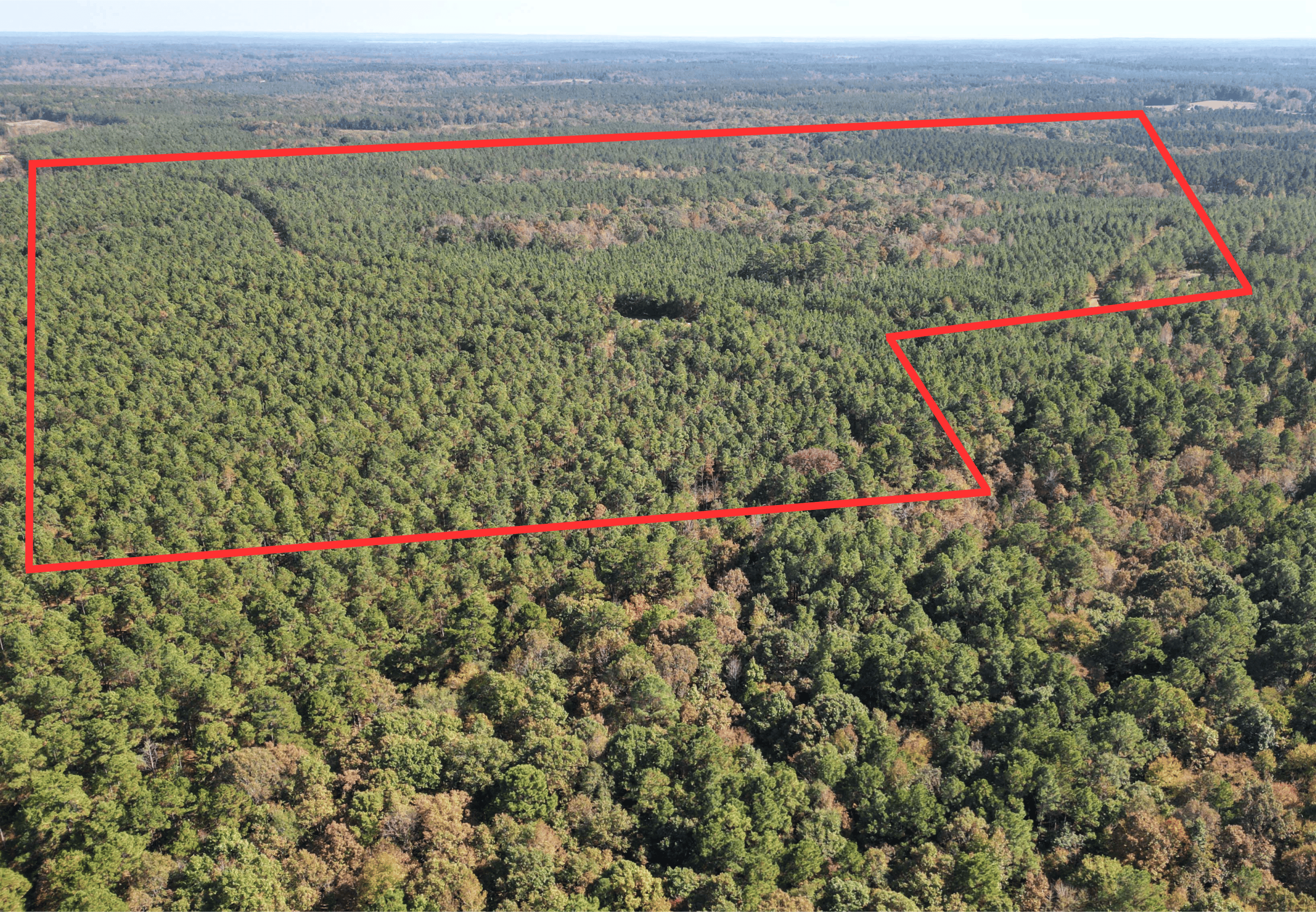 34.82 Ac. Of Miller Co. AR Hunting, Homestead, Timberland