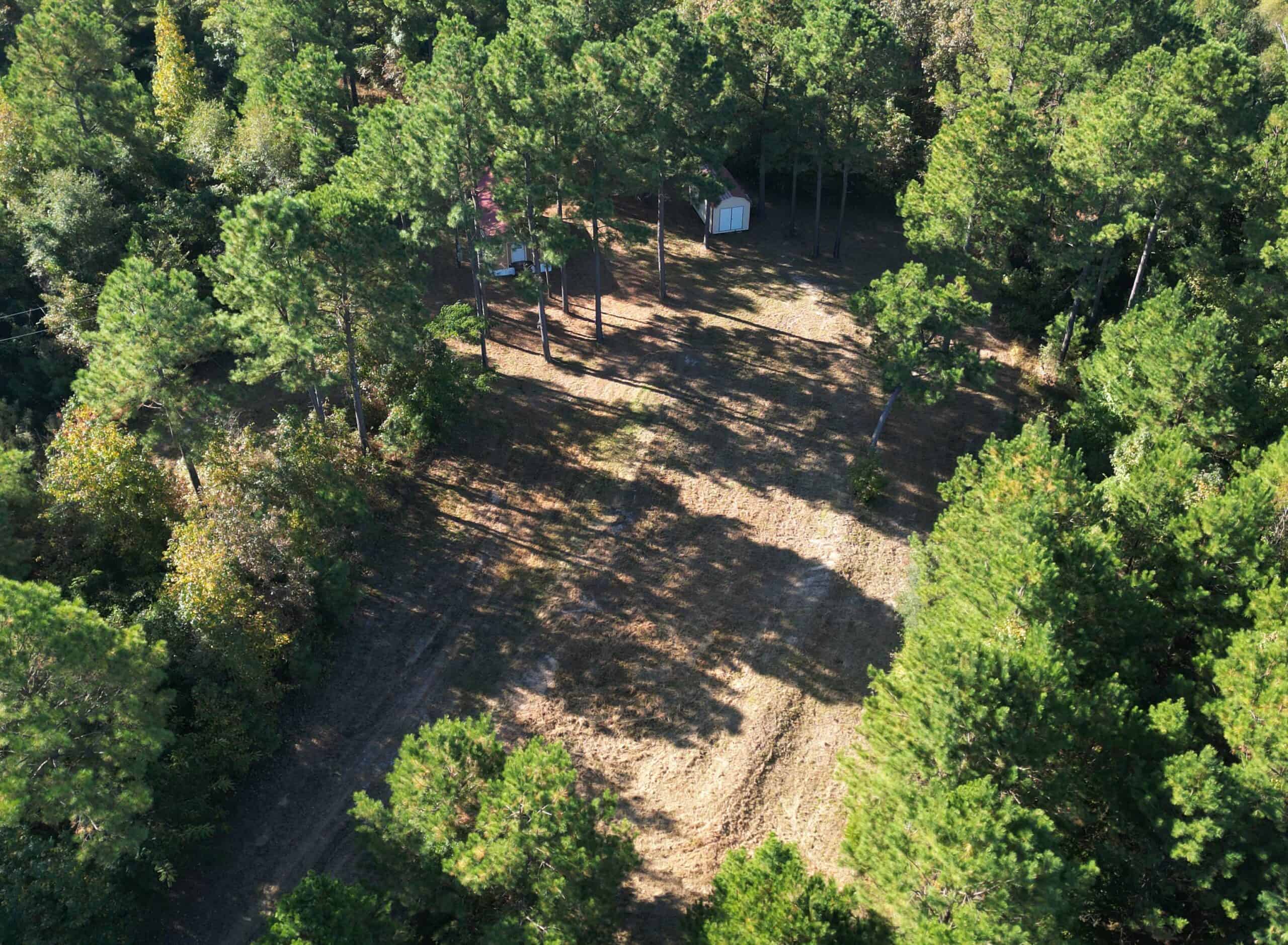 Secluded 12.6 Acres in Linden, Texas Hunting/Homesteading