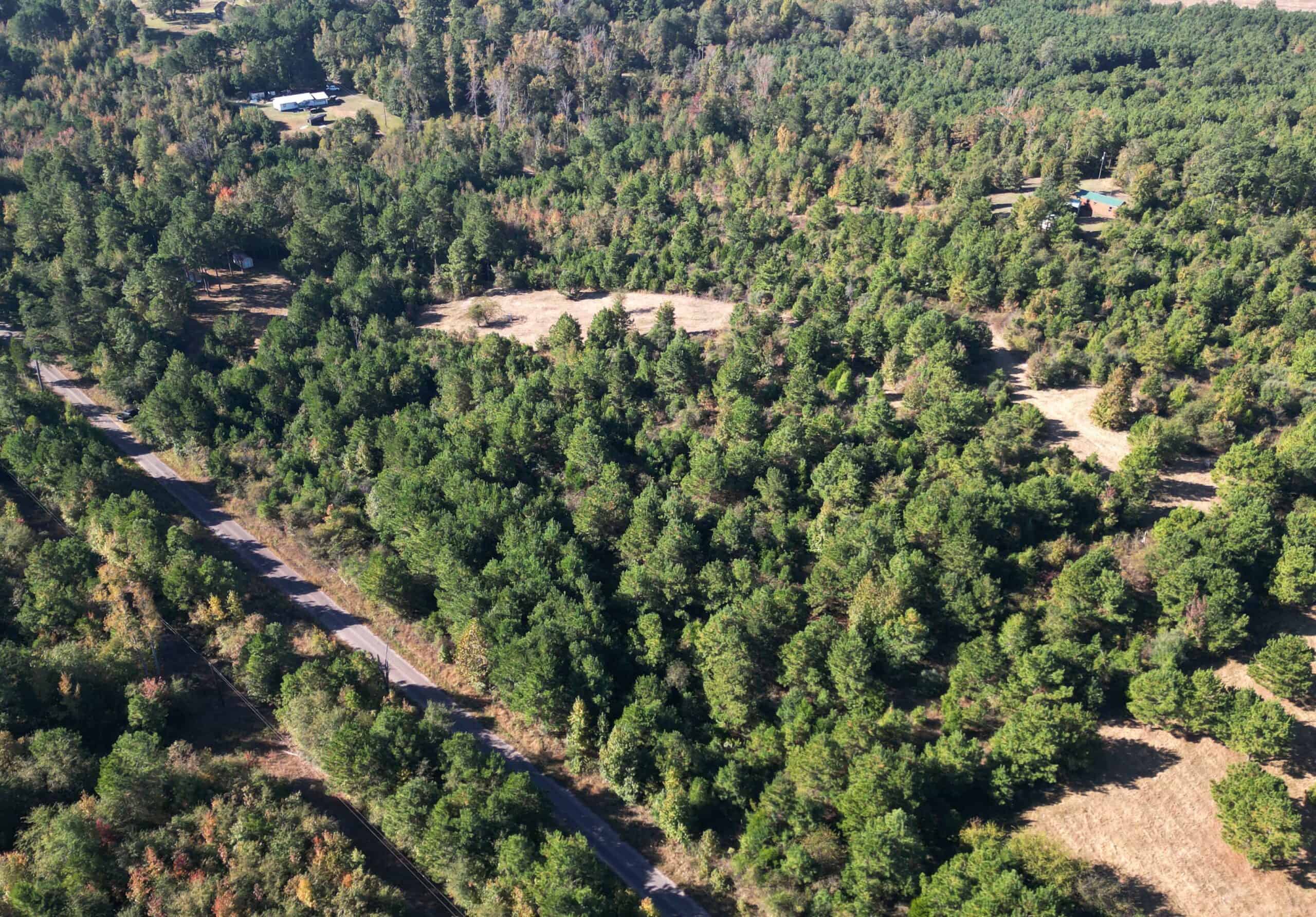 Secluded 12.6 Acres in Linden, Texas Hunting/Homesteading