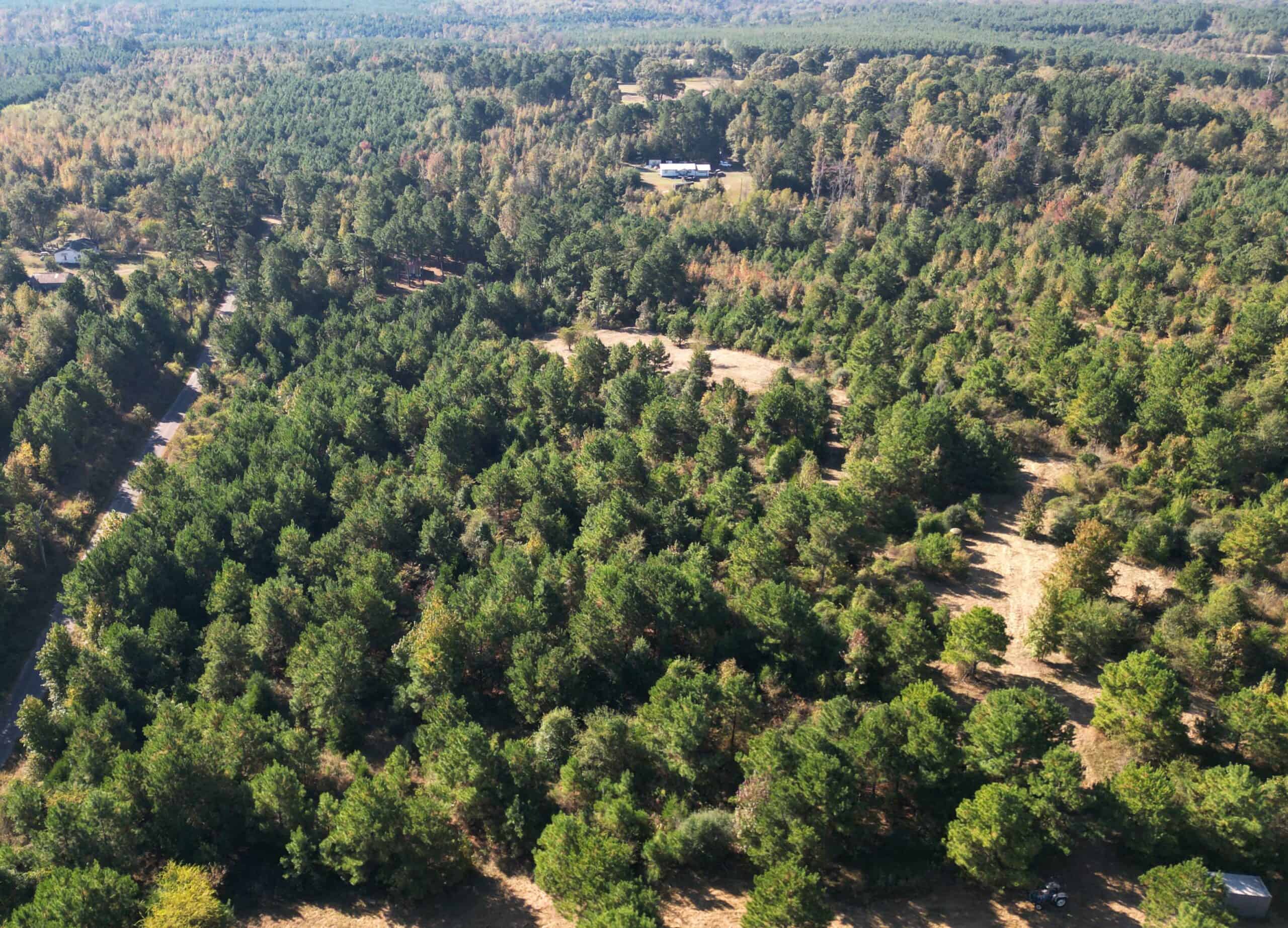 Secluded 12.6 Acres in Linden, Texas Hunting/Homesteading