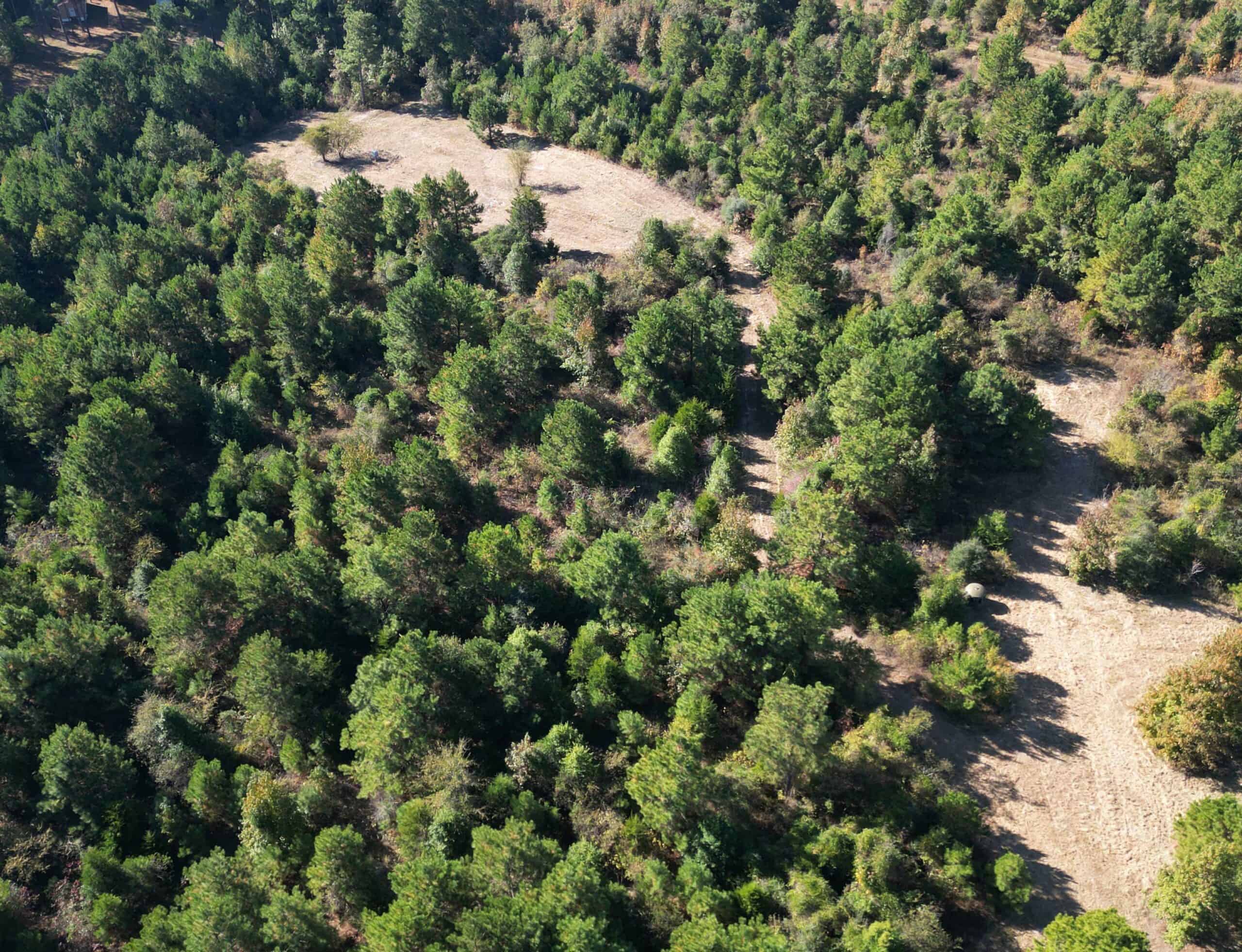 Secluded 12.6 Acres in Linden, Texas Hunting/Homesteading