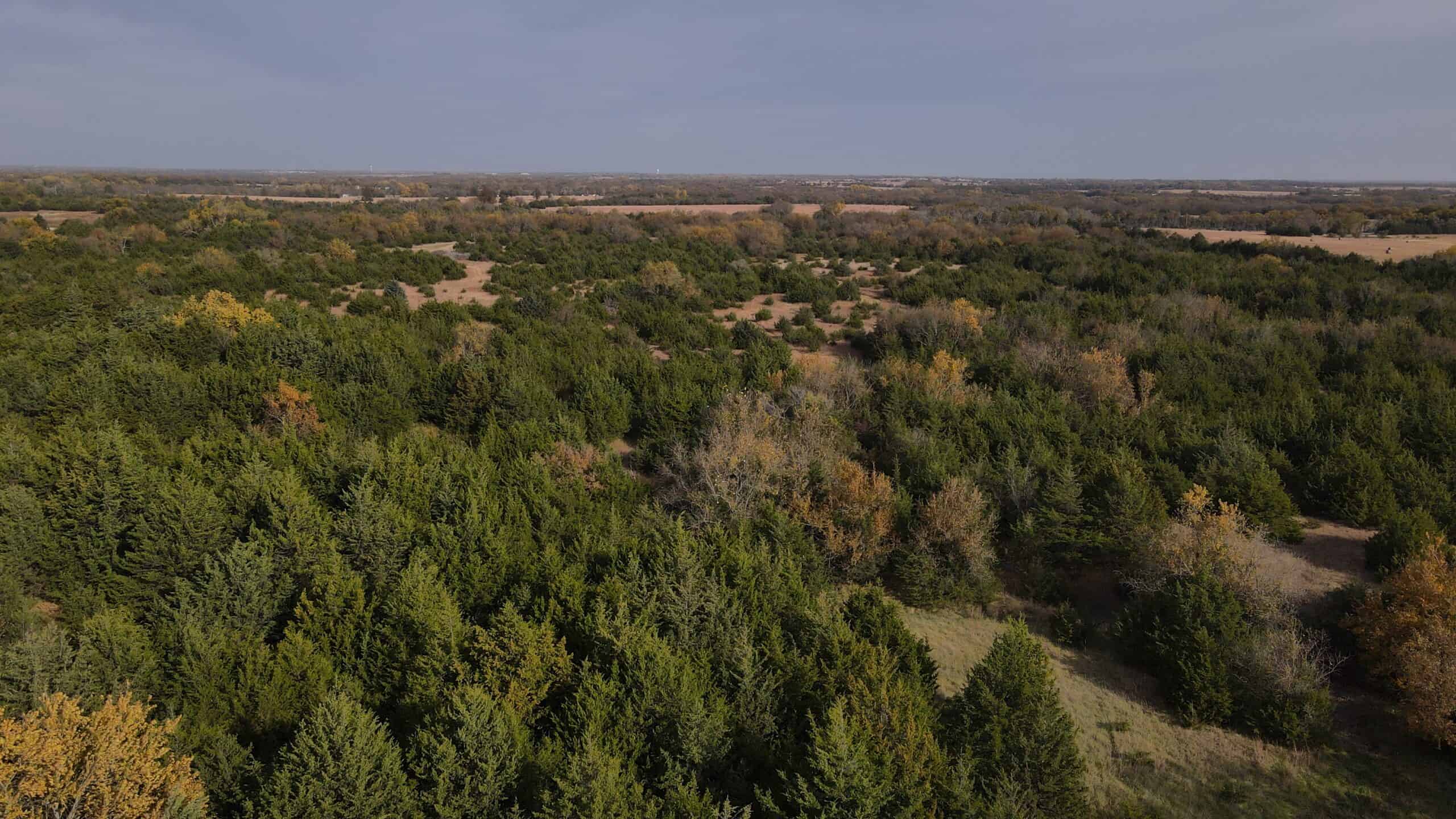 108 Acres m/l 11649 SW 140th St, Augusta KS 67010