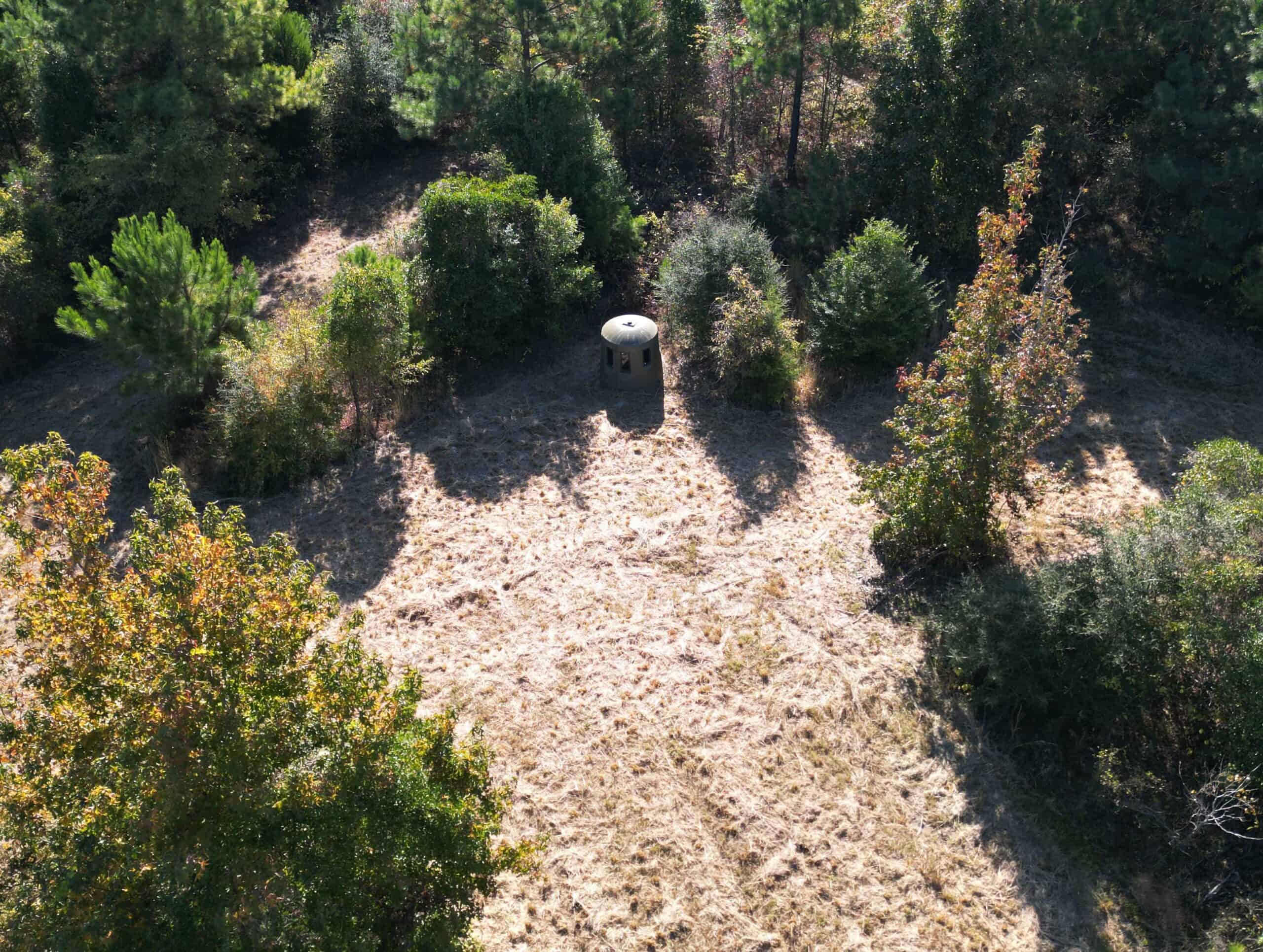 Secluded 12.6 Acres in Linden, Texas Hunting/Homesteading