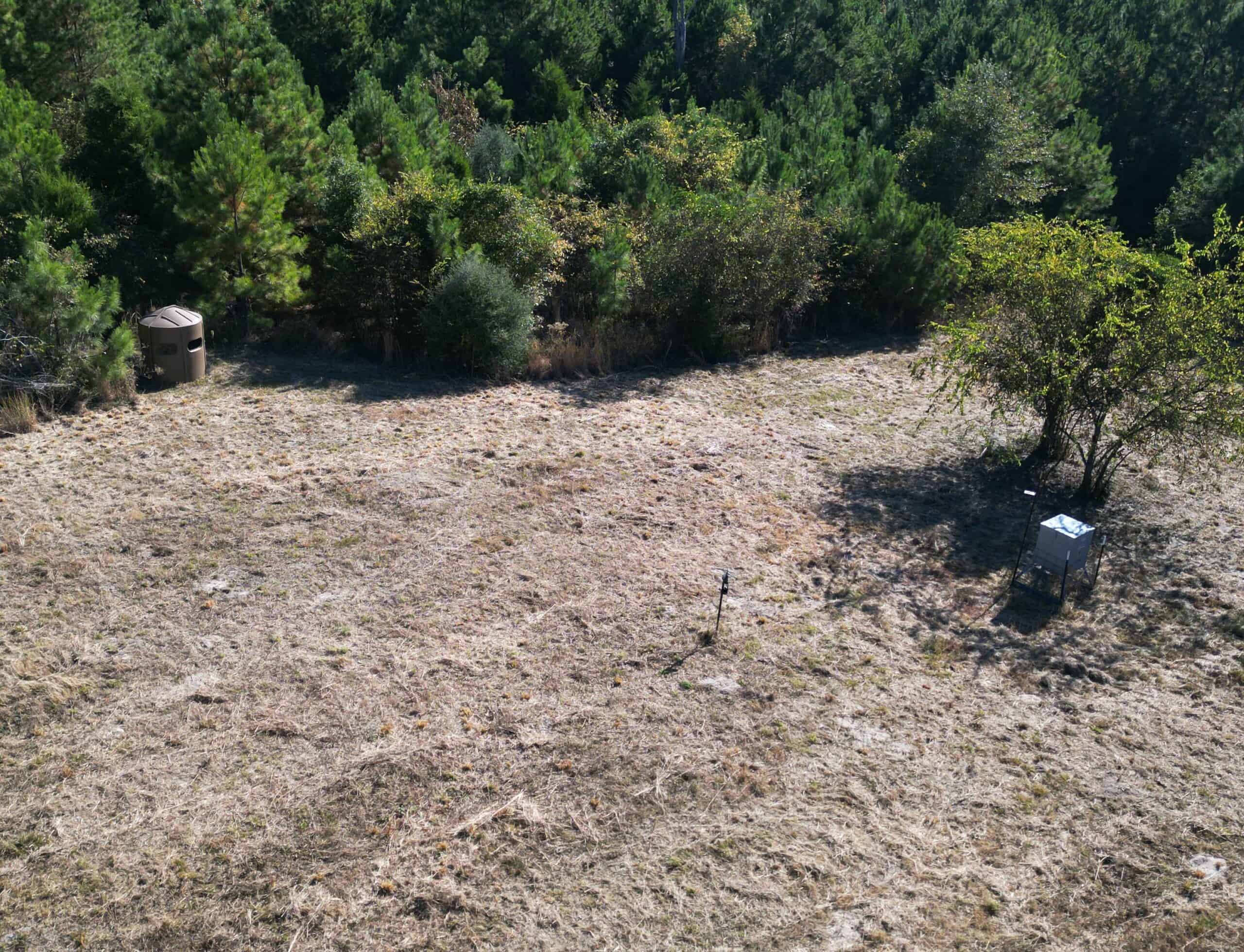 Secluded 12.6 Acres in Linden, Texas Hunting/Homesteading