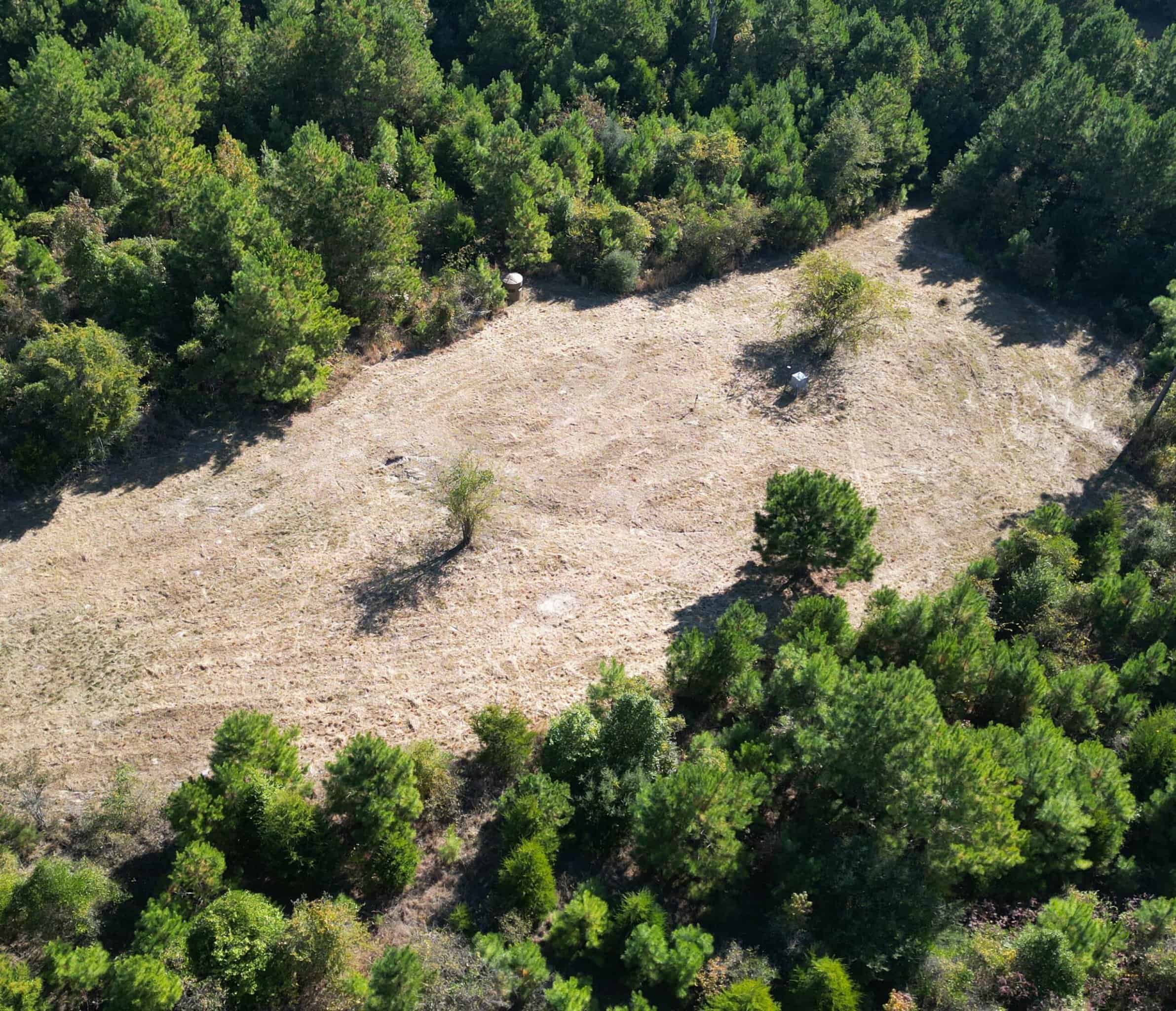 Secluded 12.6 Acres in Linden, Texas Hunting/Homesteading