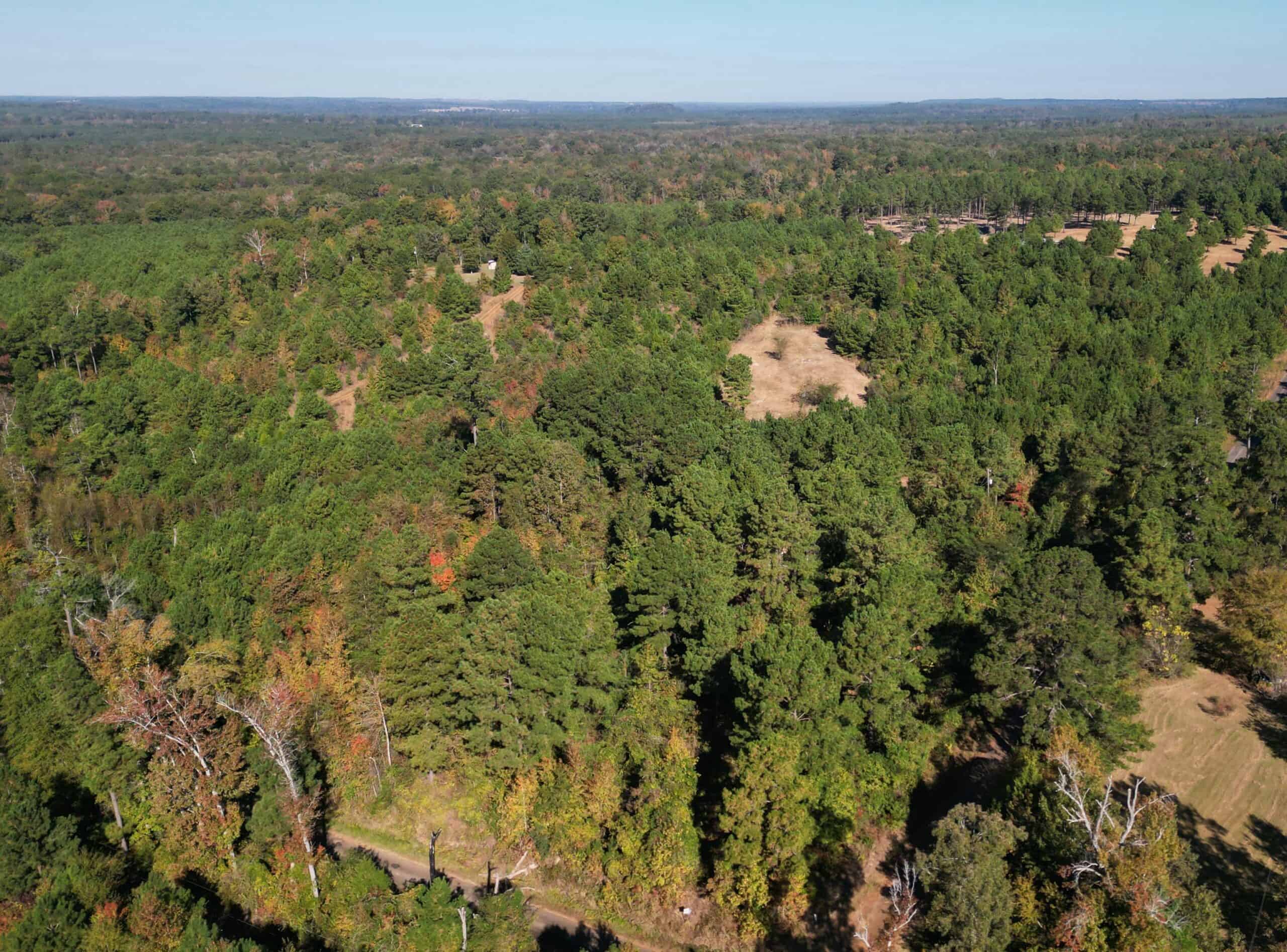 Secluded 12.6 Acres in Linden, Texas Hunting/Homesteading