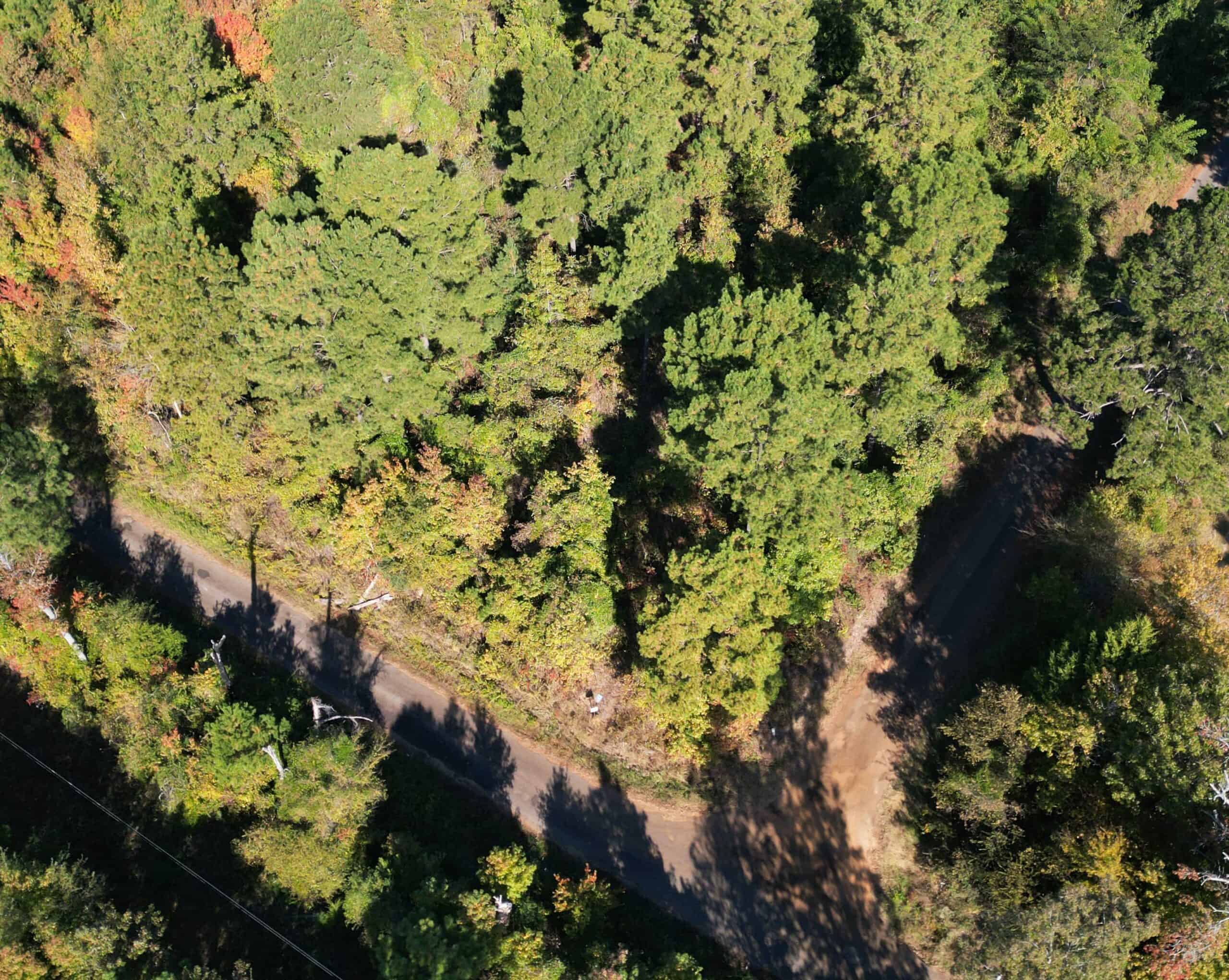 Secluded 12.6 Acres in Linden, Texas Hunting/Homesteading