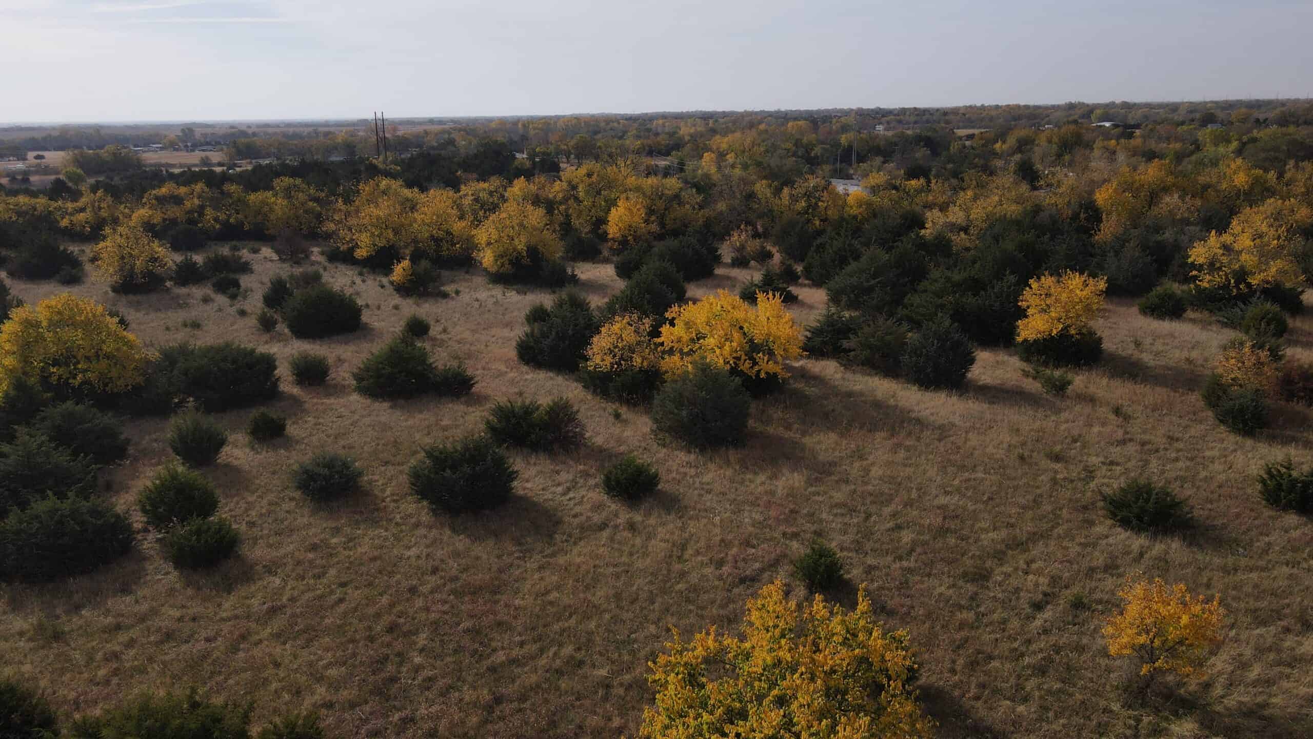 108 Acres m/l 11649 SW 140th St, Augusta KS 67010