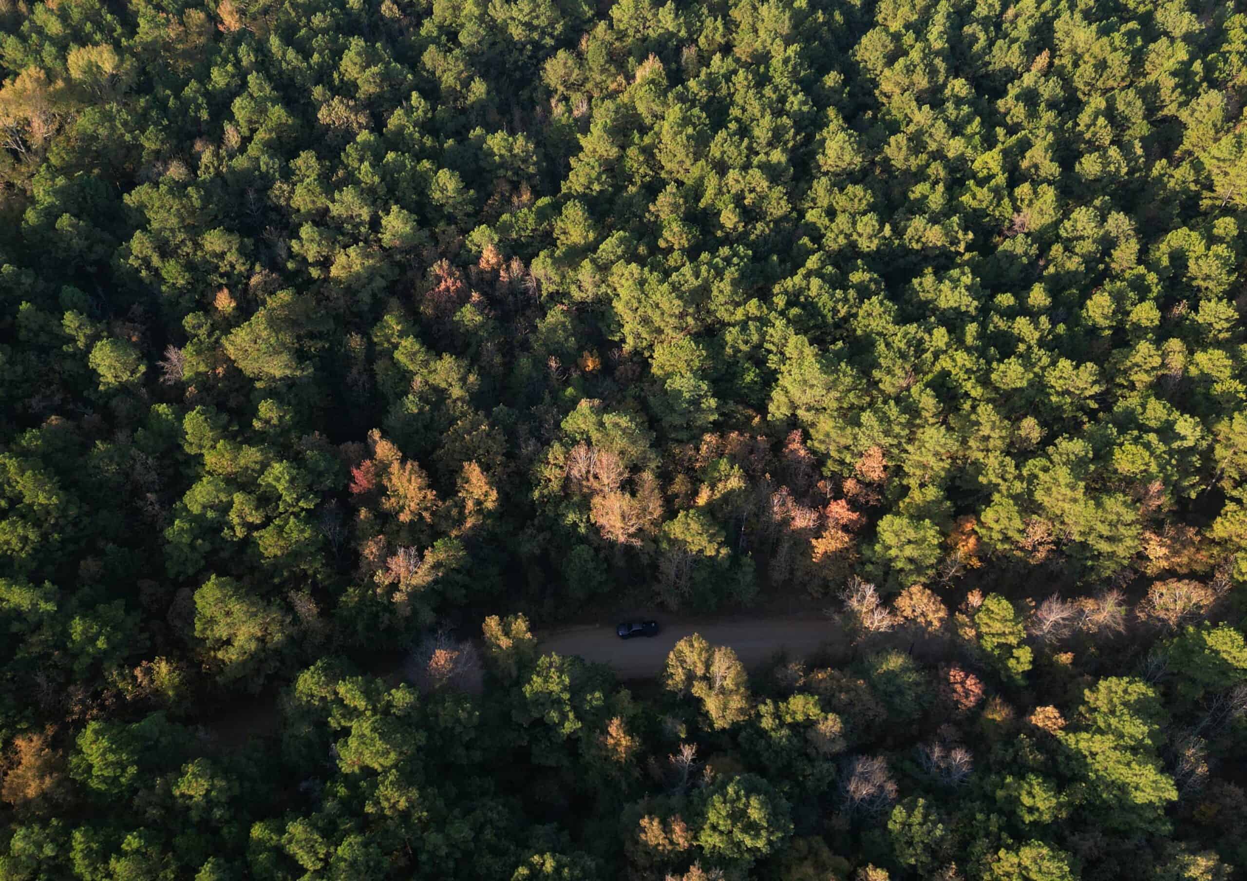 34.82 Ac. Of Miller Co. AR Hunting, Homestead, Timberland