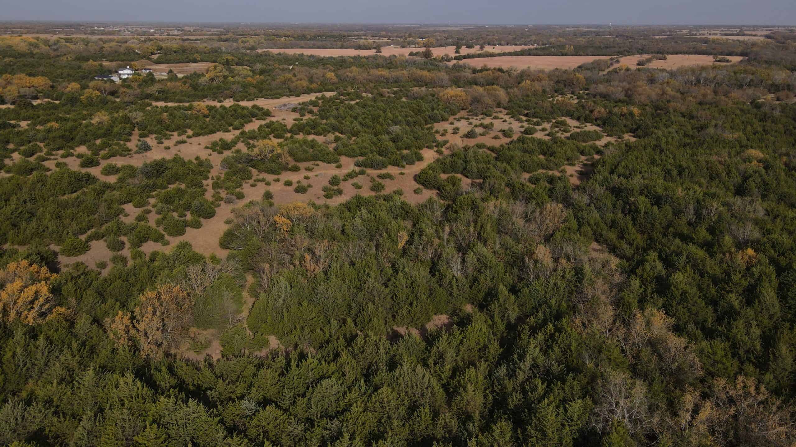 108 Acres m/l 11649 SW 140th St, Augusta KS 67010