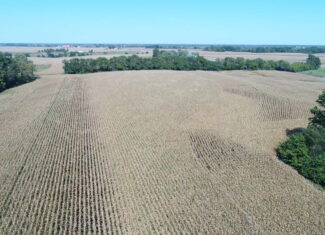 Prime 61 Acres North of Memphis, Missouri