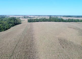 Prime 61 Acres North of Memphis, Missouri