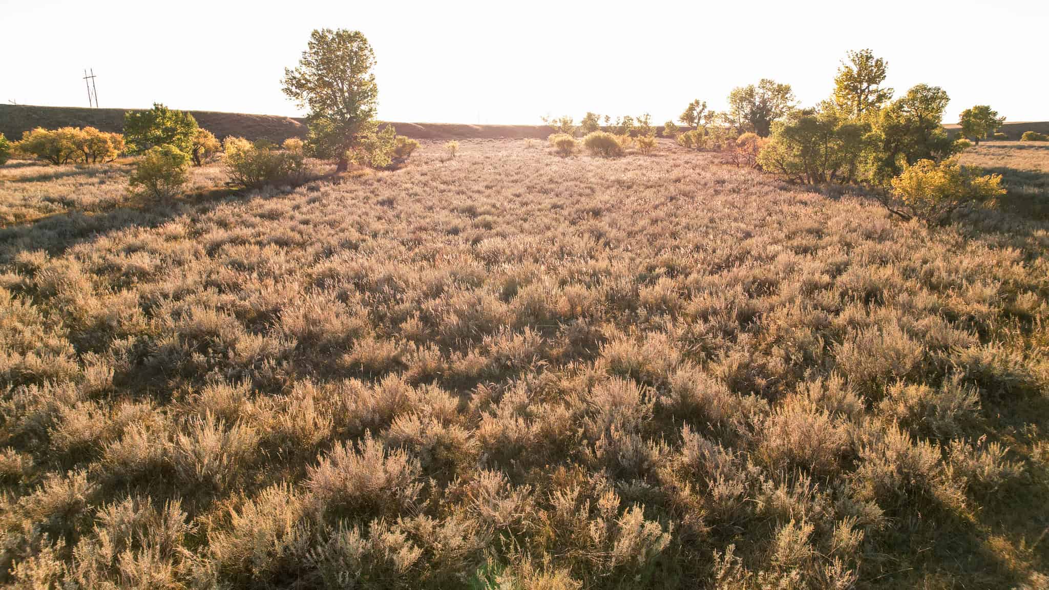 640 ACRE GRAZING  UNIT | DEER & UPLAND BIRD HUNTING-SAVOY MT