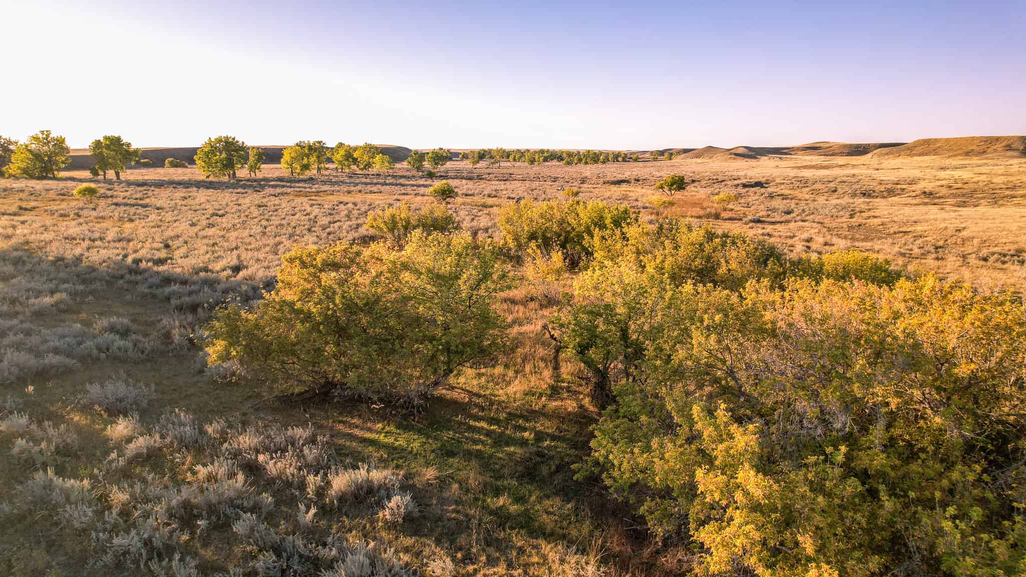 640 ACRE GRAZING  UNIT | DEER & UPLAND BIRD HUNTING-SAVOY MT