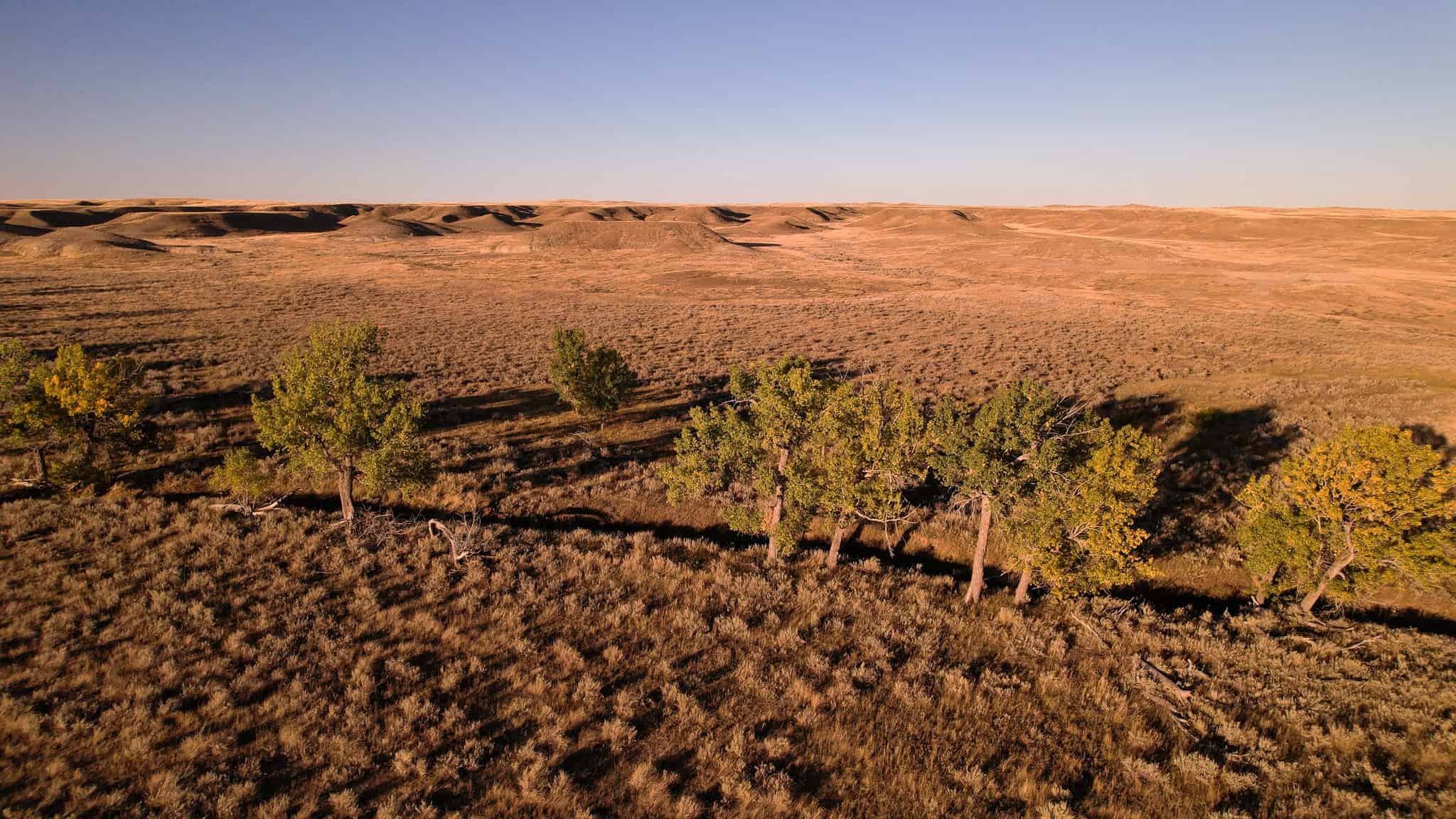 640 ACRE GRAZING  UNIT | DEER & UPLAND BIRD HUNTING-SAVOY MT