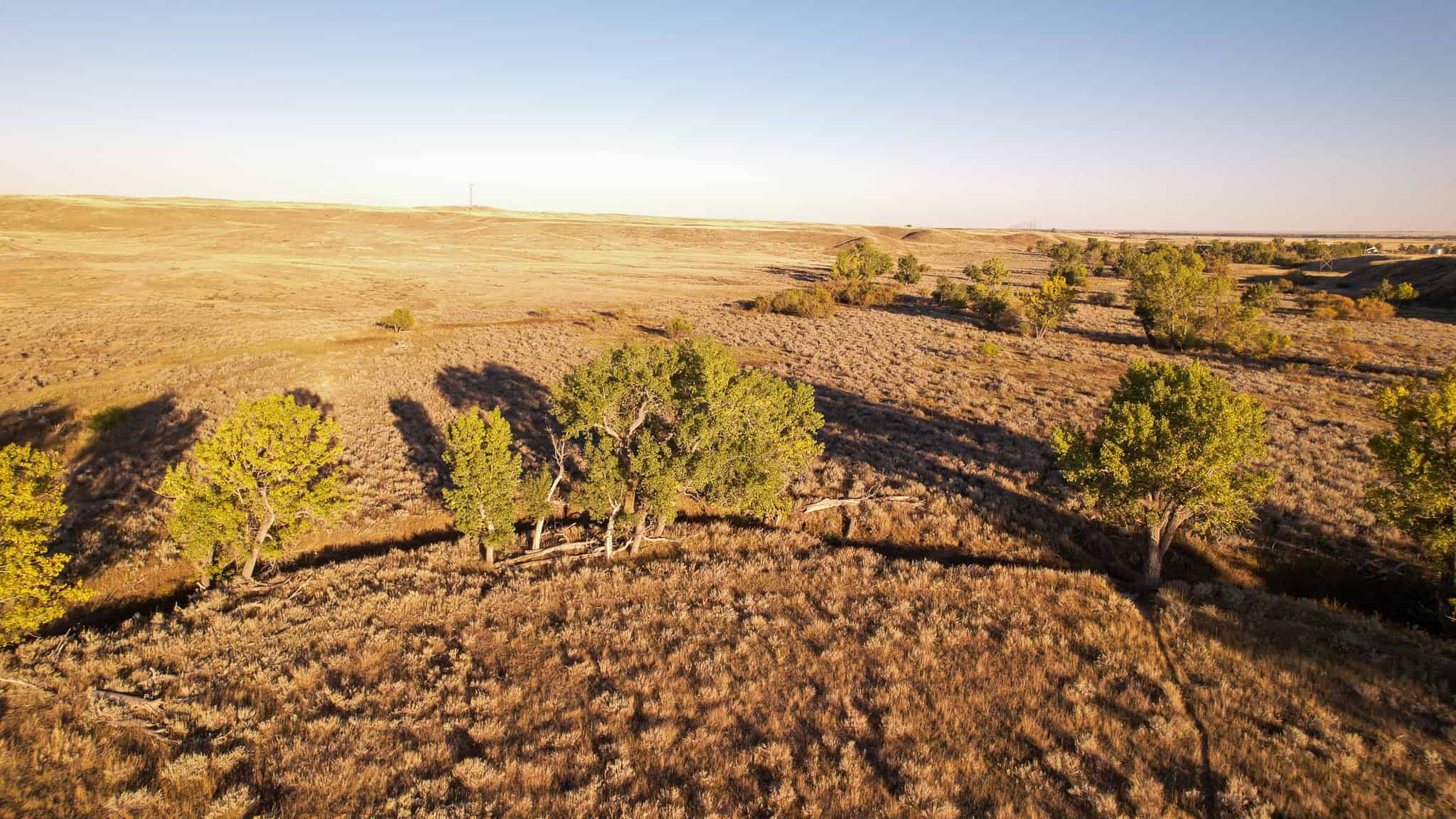 640 ACRE GRAZING  UNIT | DEER & UPLAND BIRD HUNTING-SAVOY MT