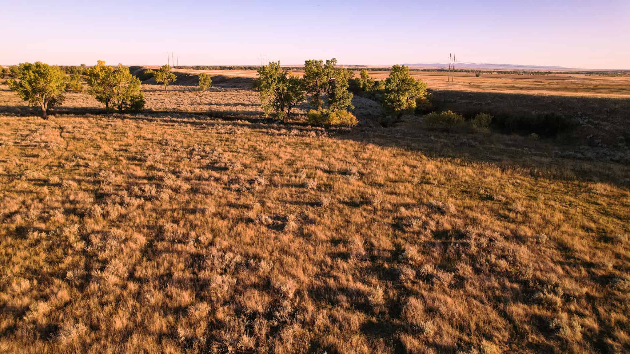 640 ACRE GRAZING  UNIT | DEER & UPLAND BIRD HUNTING-SAVOY MT