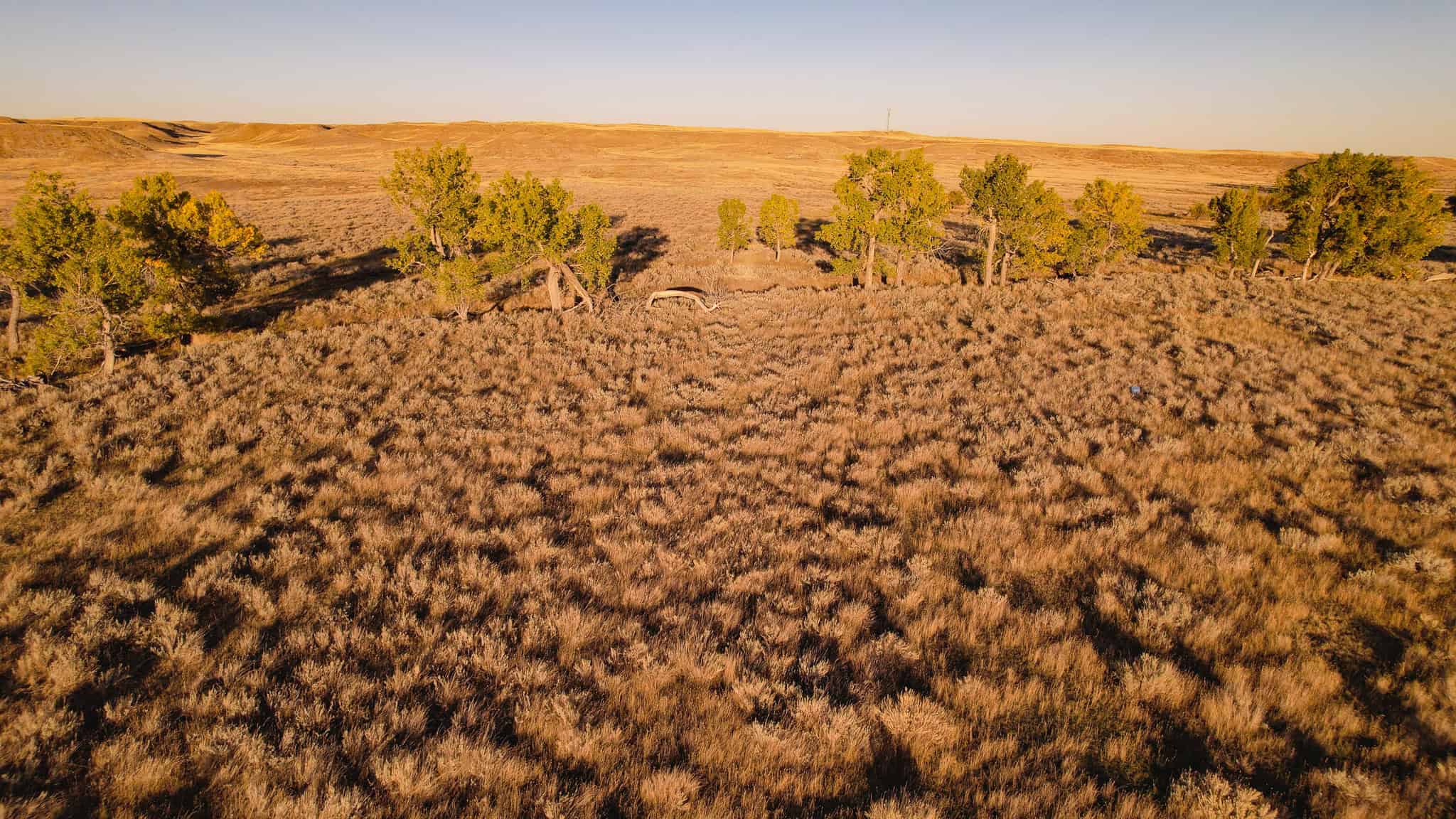 640 ACRE GRAZING  UNIT | DEER & UPLAND BIRD HUNTING-SAVOY MT