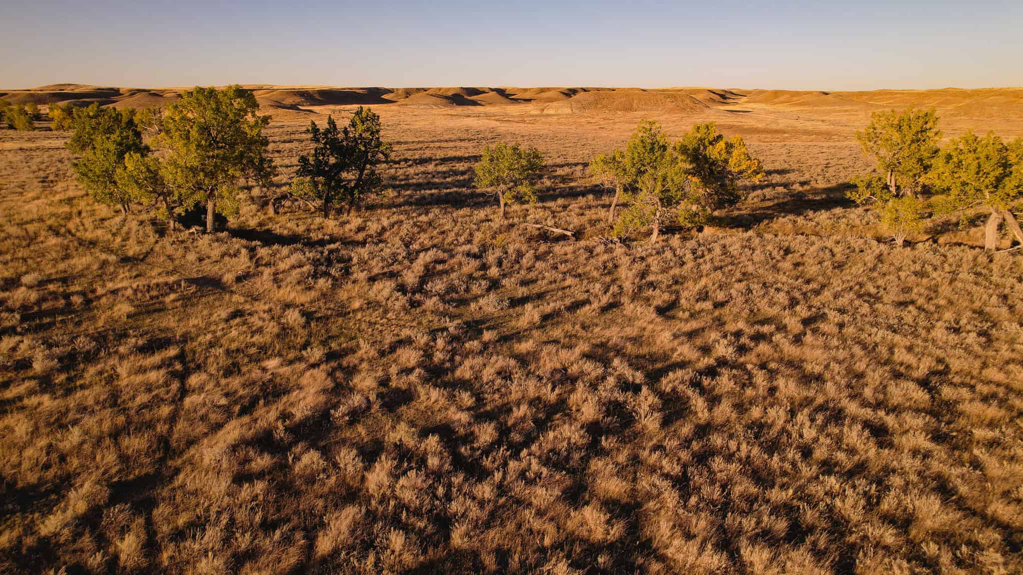640 ACRE GRAZING  UNIT | DEER & UPLAND BIRD HUNTING-SAVOY MT