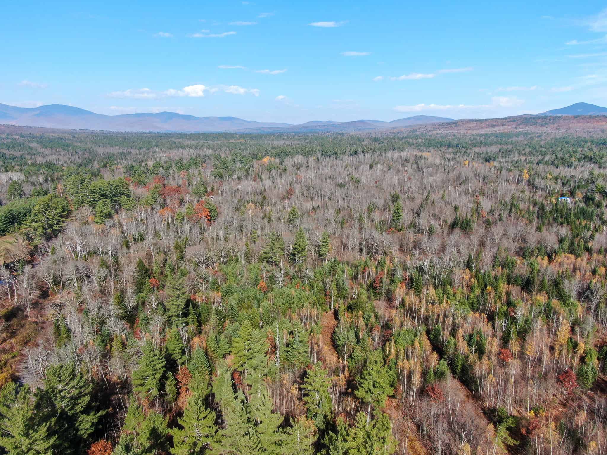 18 Acres with River Access in Carthage, Maine