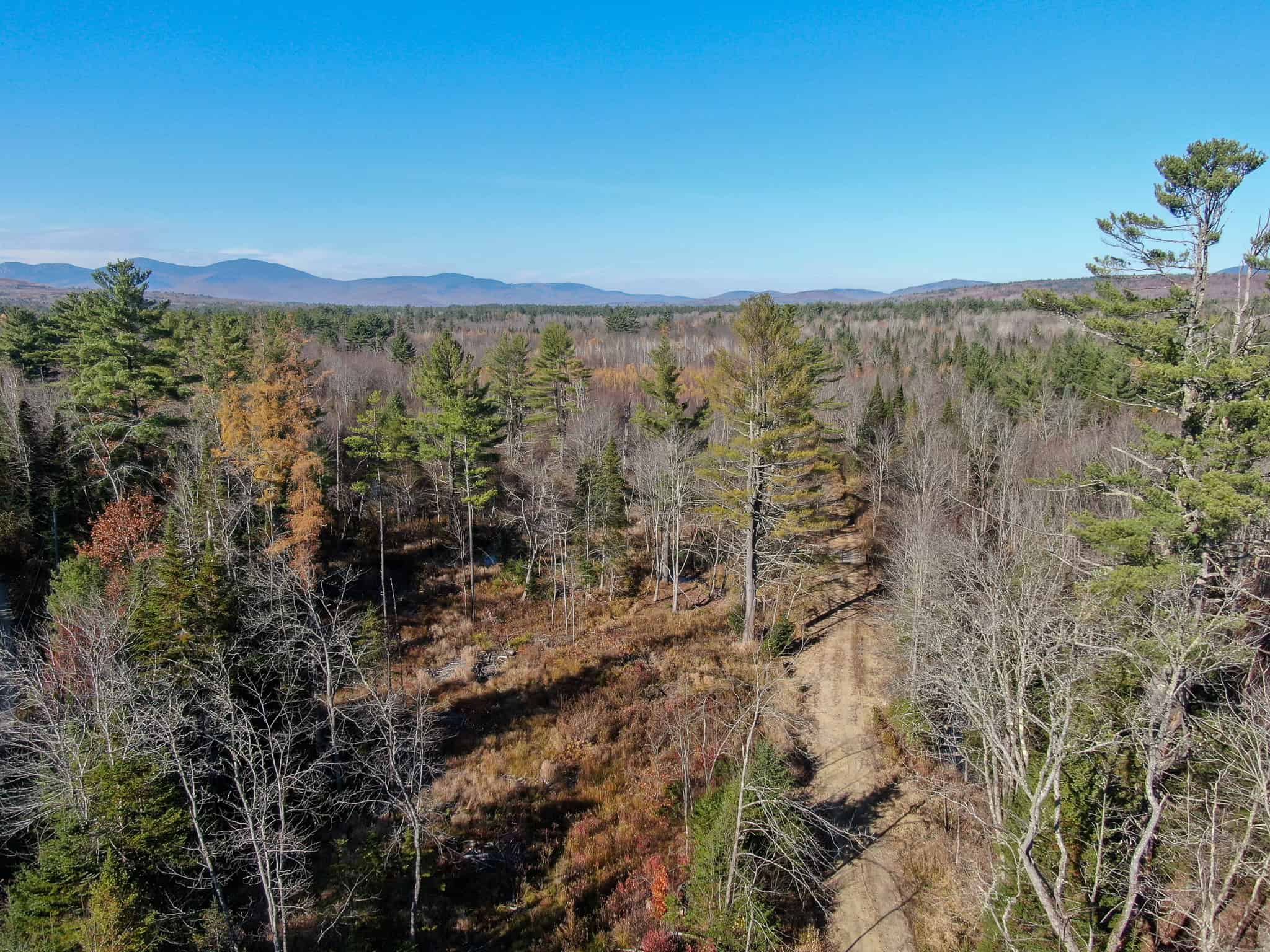 43 Acres Raw Land with River Access