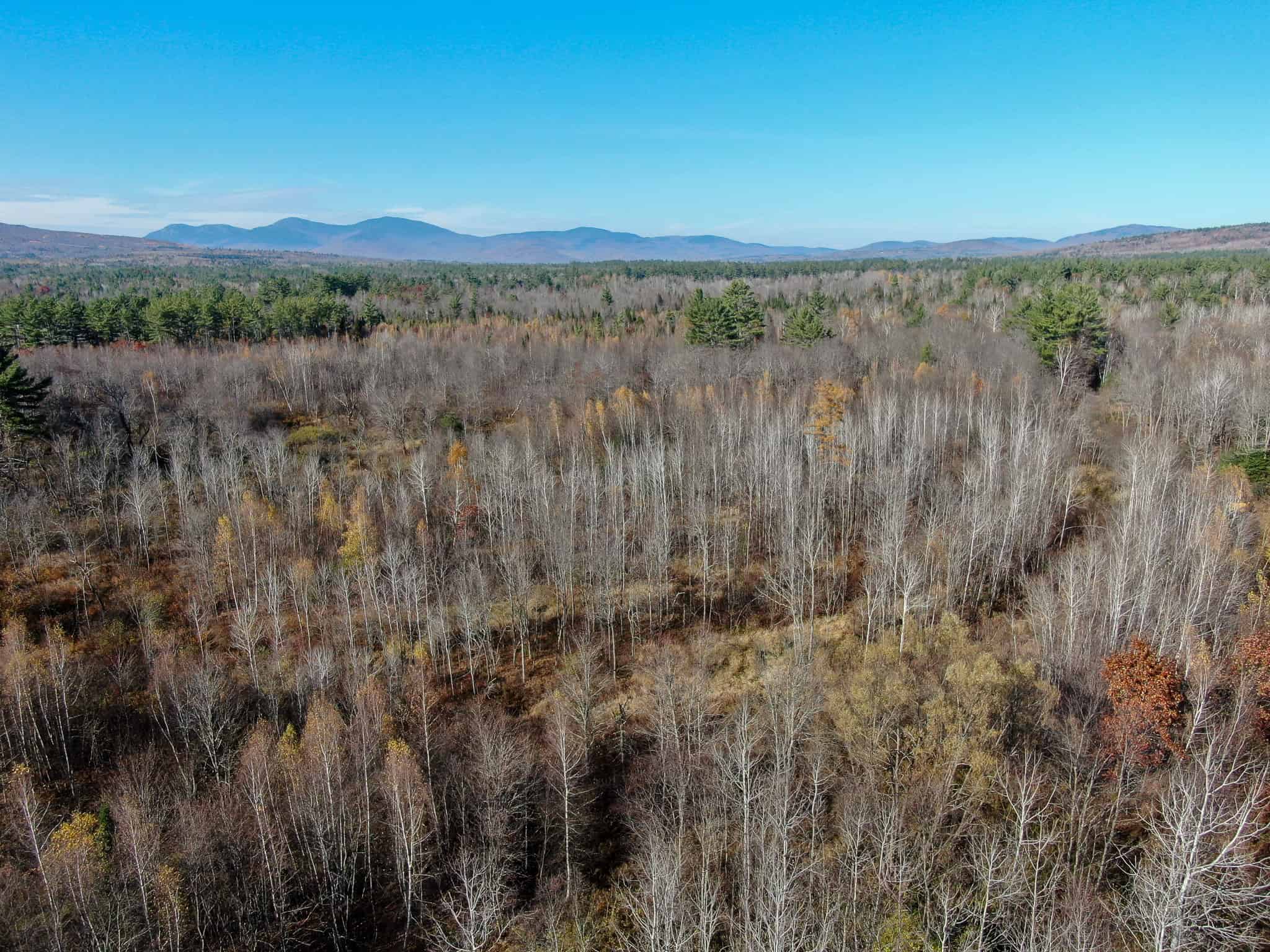 43 Acres Raw Land with River Access
