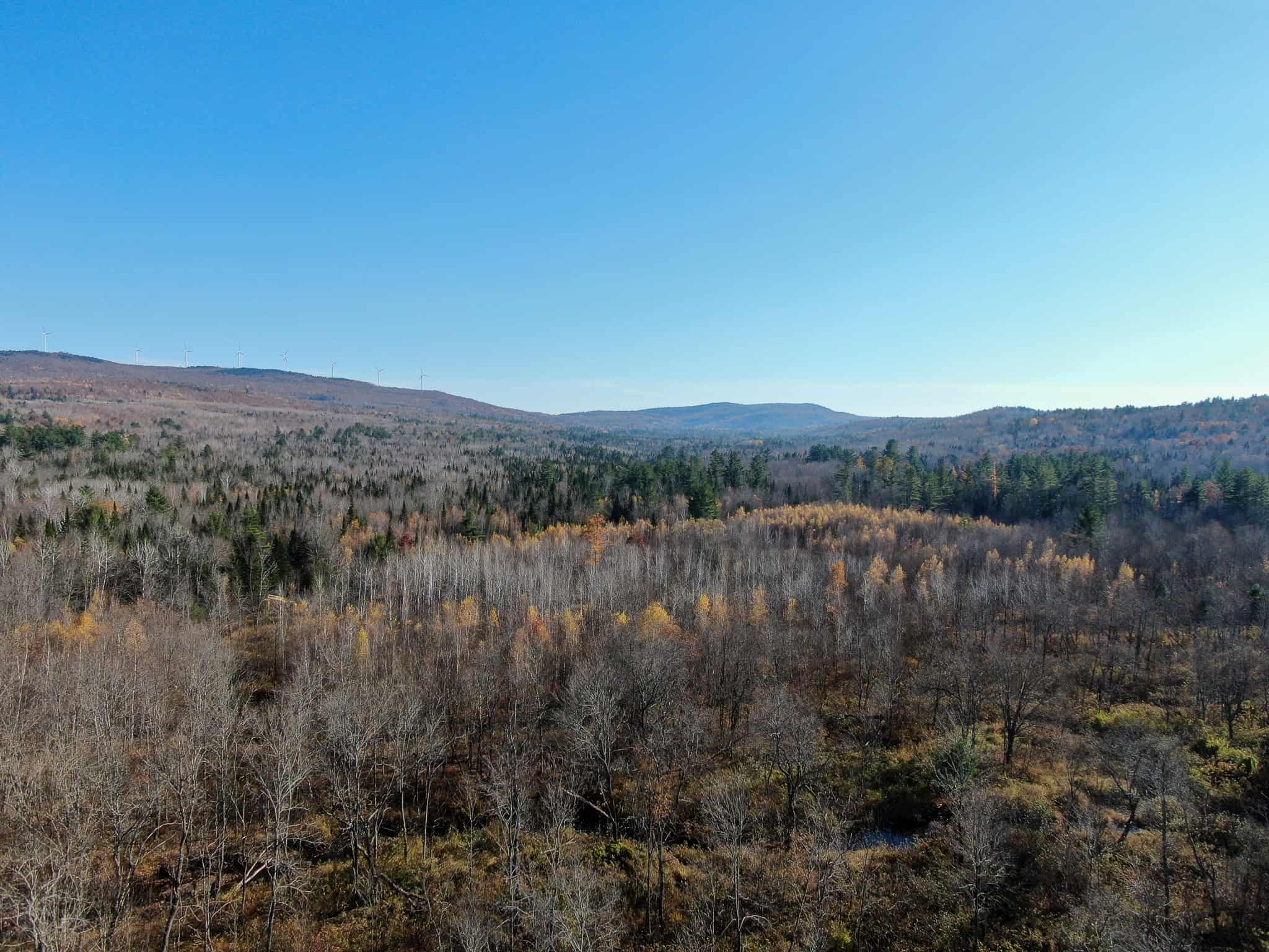 43 Acres Raw Land with River Access
