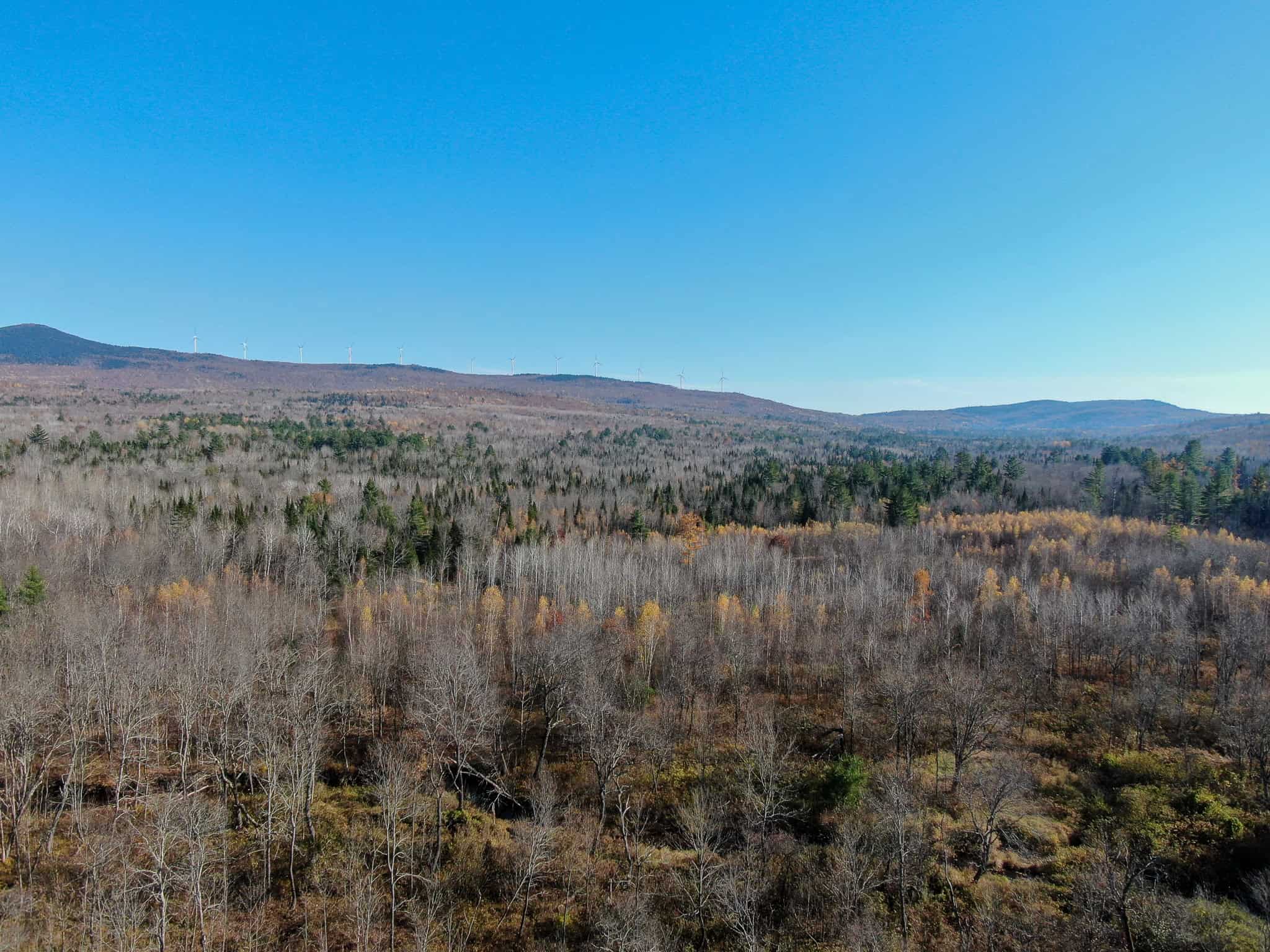 43 Acres Raw Land with River Access