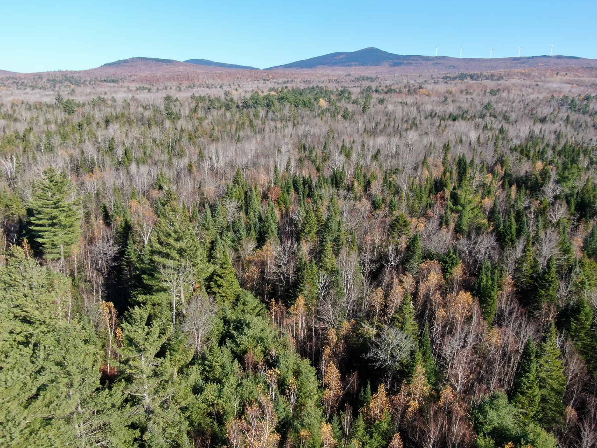 43 Acres Raw Land with River Access