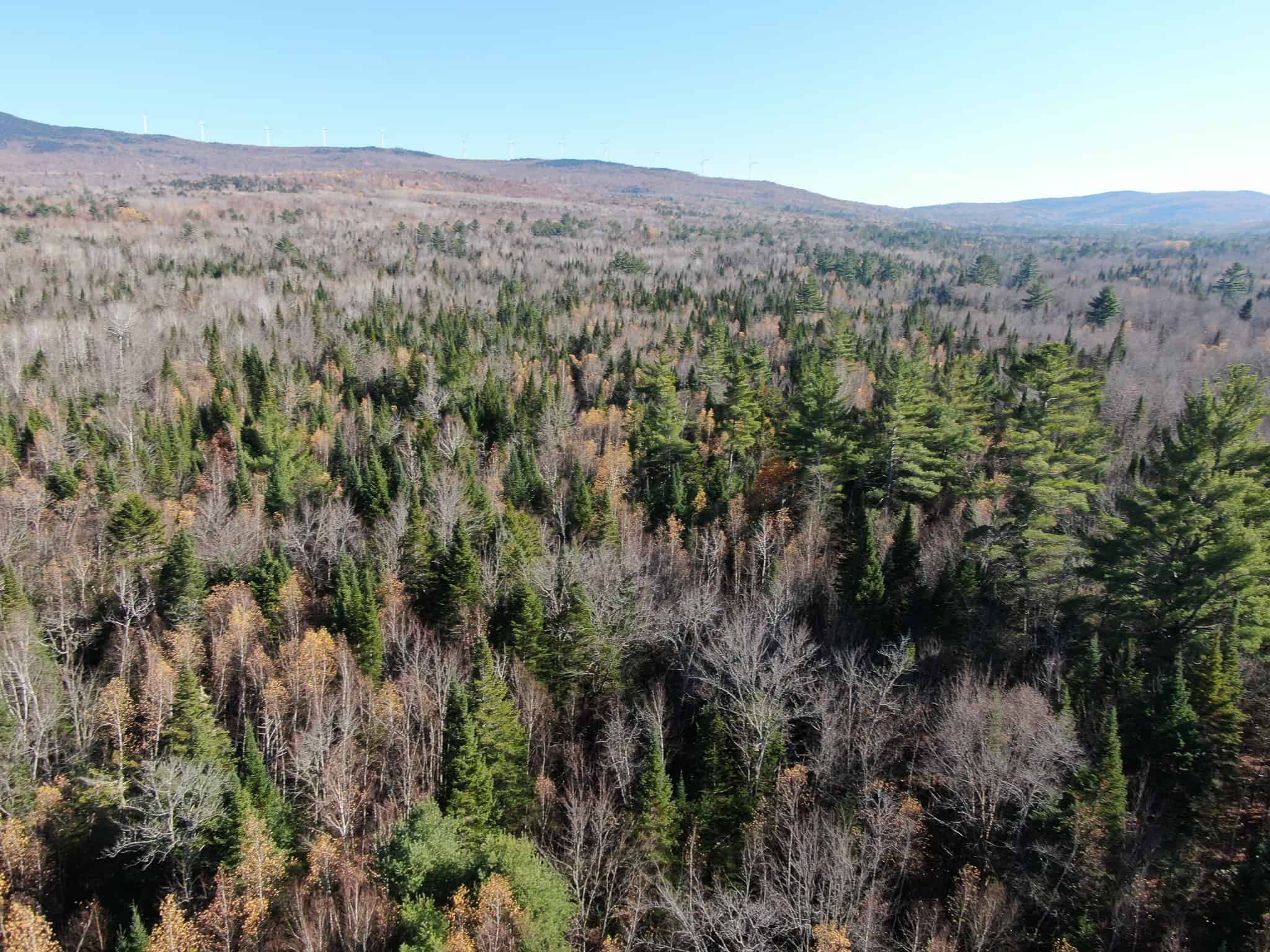 43 Acres Raw Land with River Access