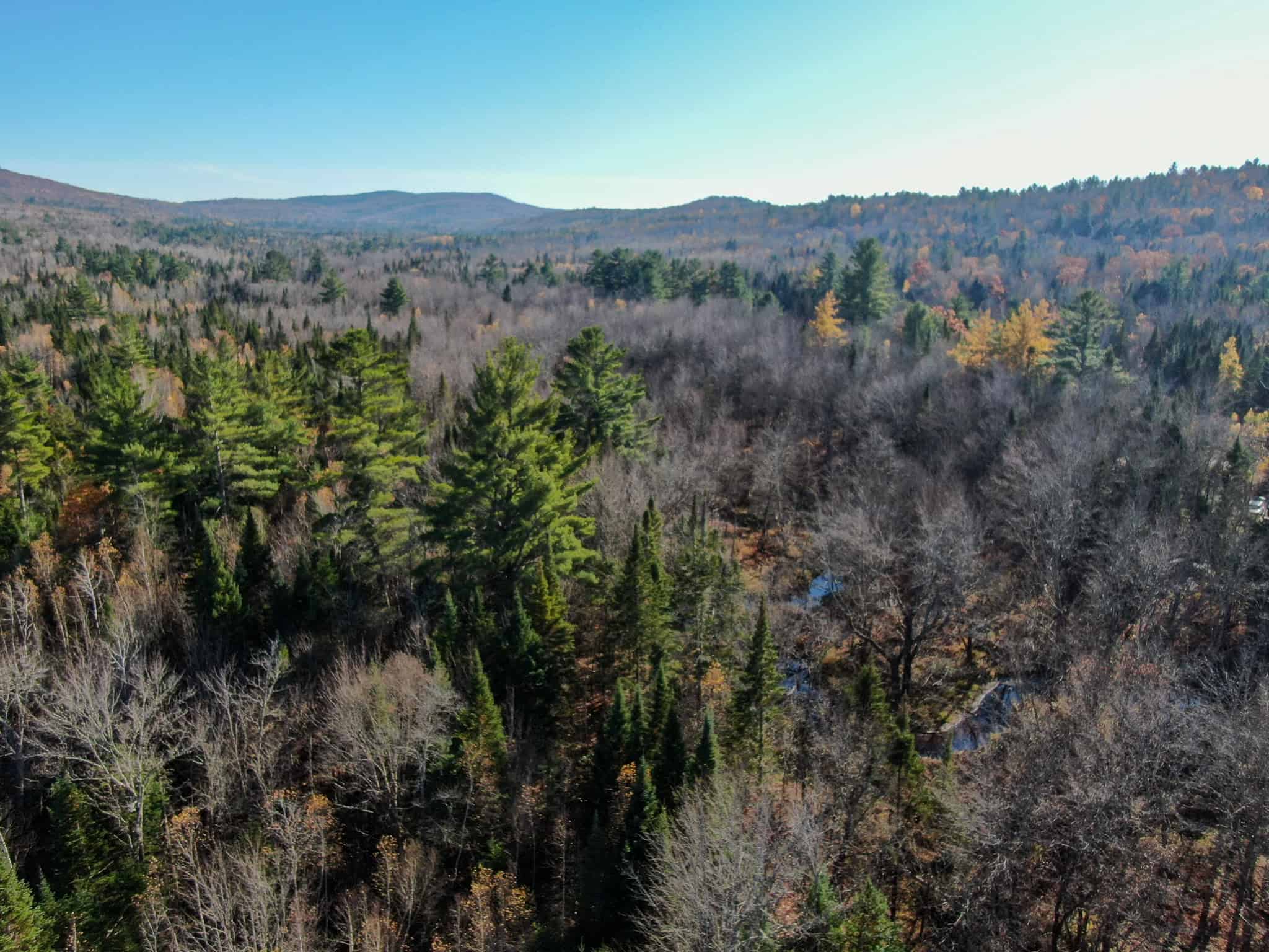 43 Acres Raw Land with River Access