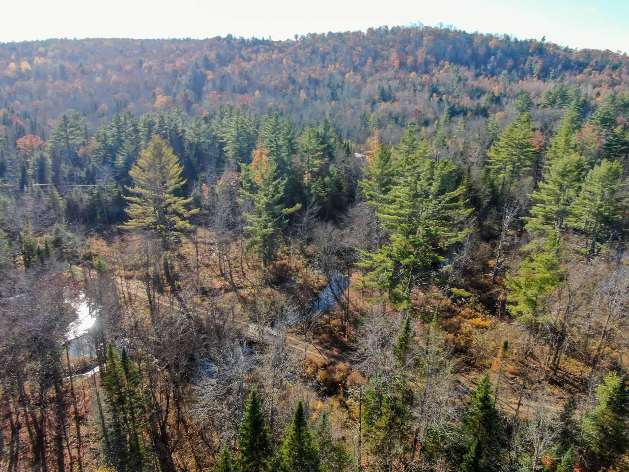 43 Acres Raw Land with River Access