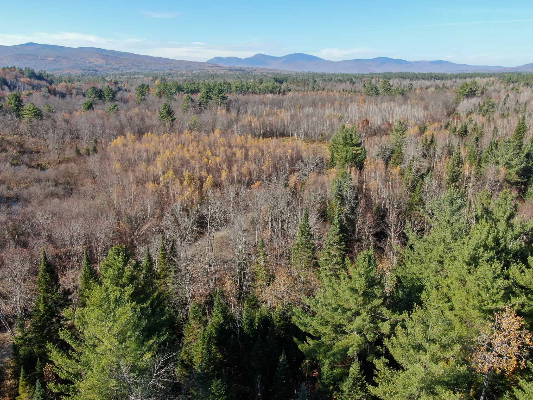 43 Acres Raw Land with River Access
