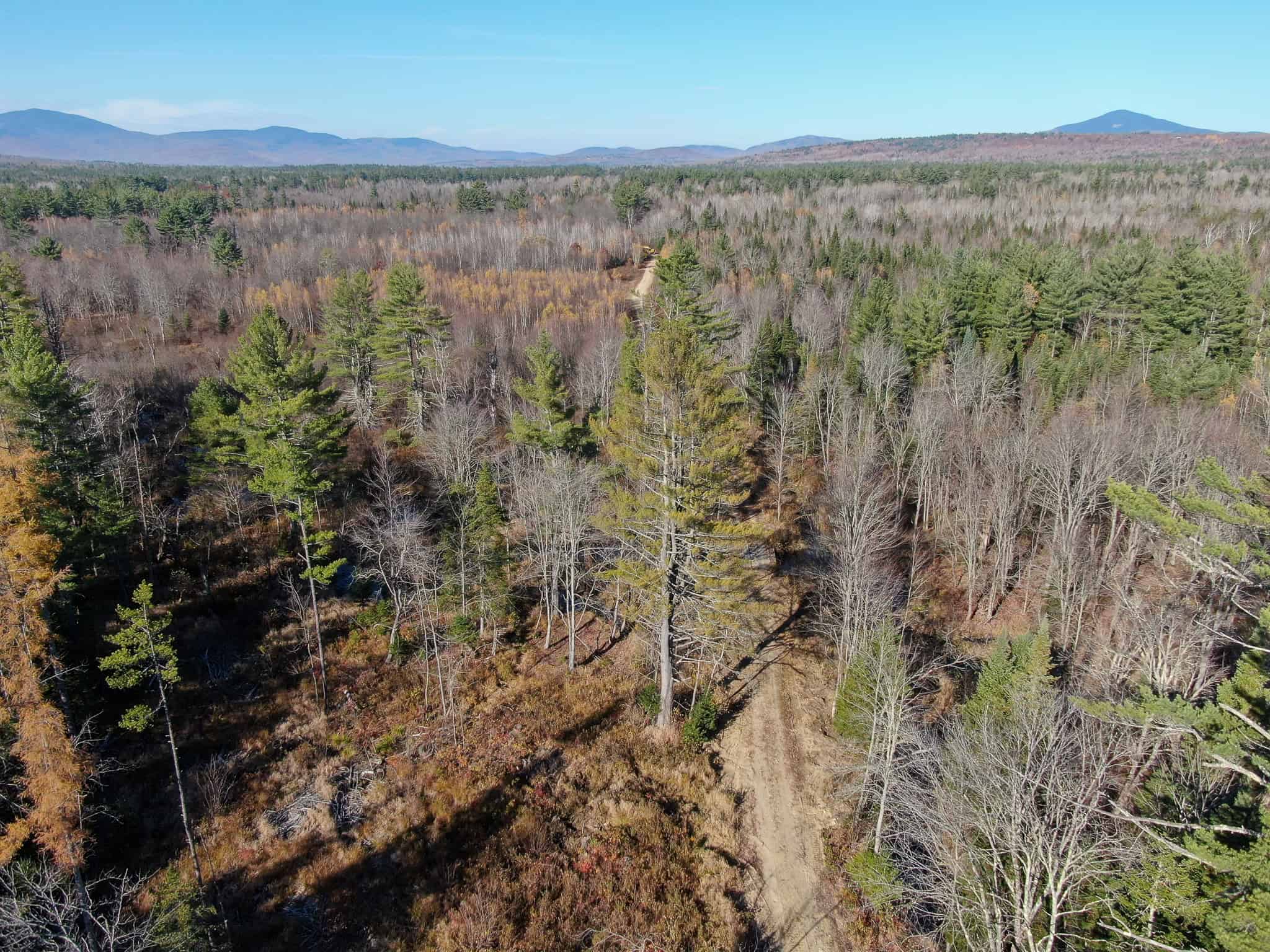 43 Acres Raw Land with River Access