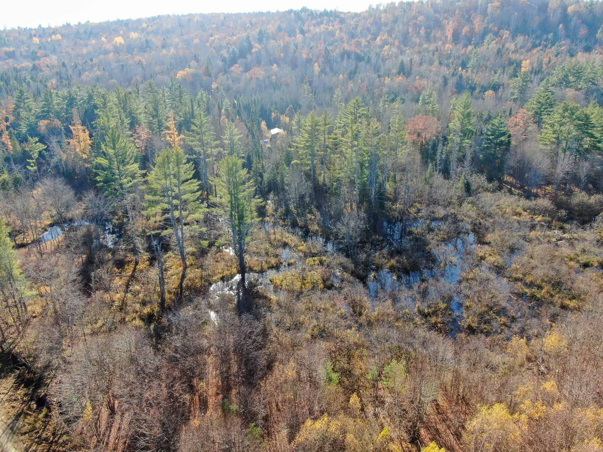 43 Acres Raw Land with River Access