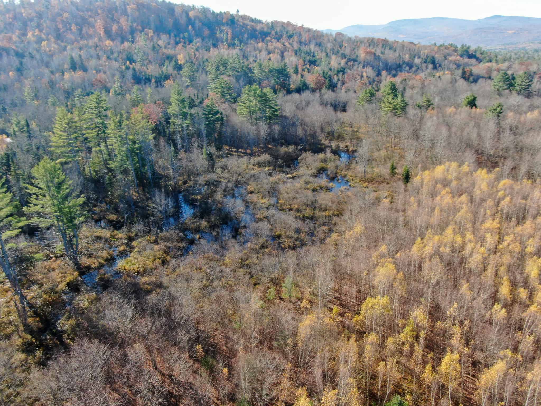 43 Acres Raw Land with River Access
