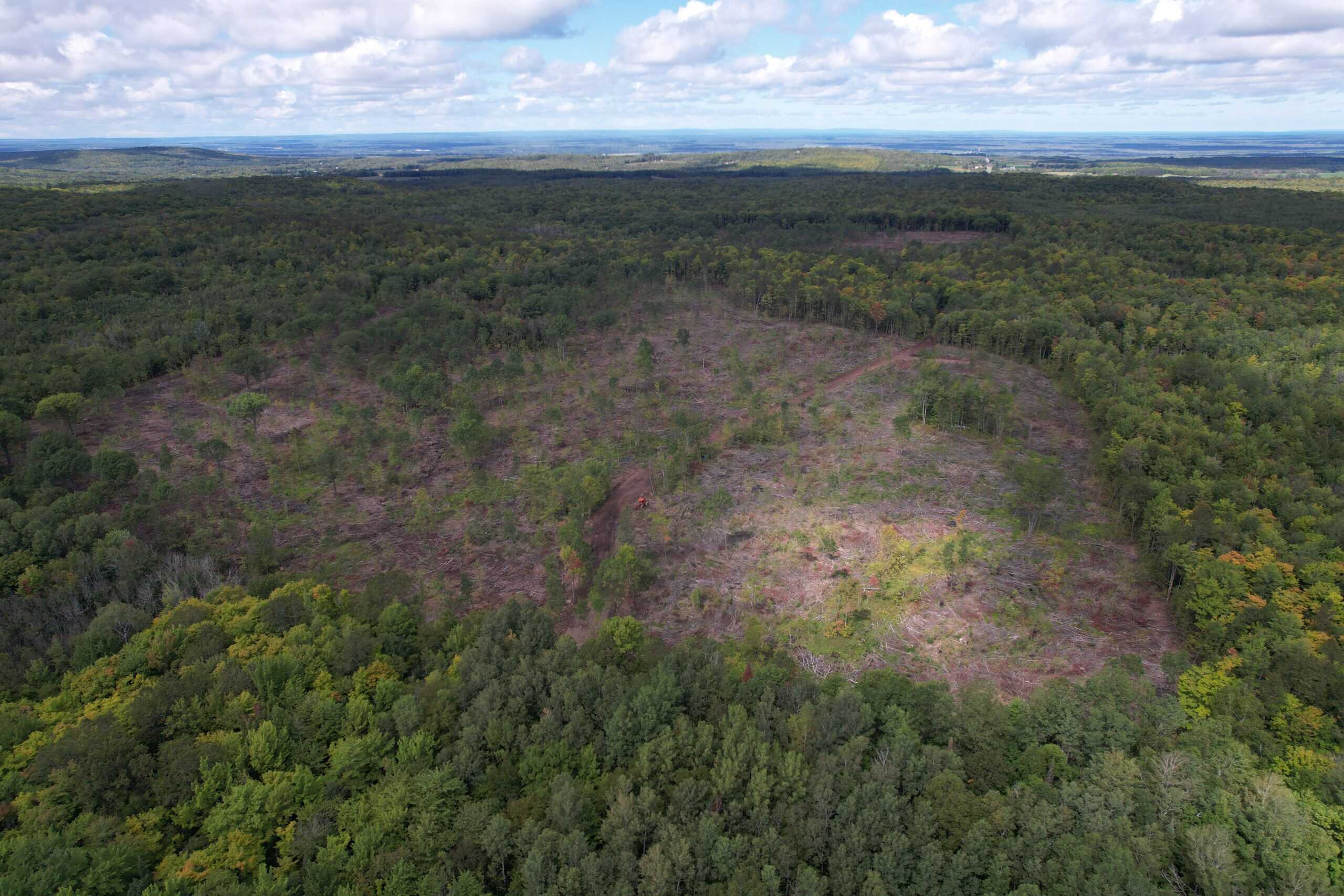 Land for Sale in Ashland County, Wisconsin