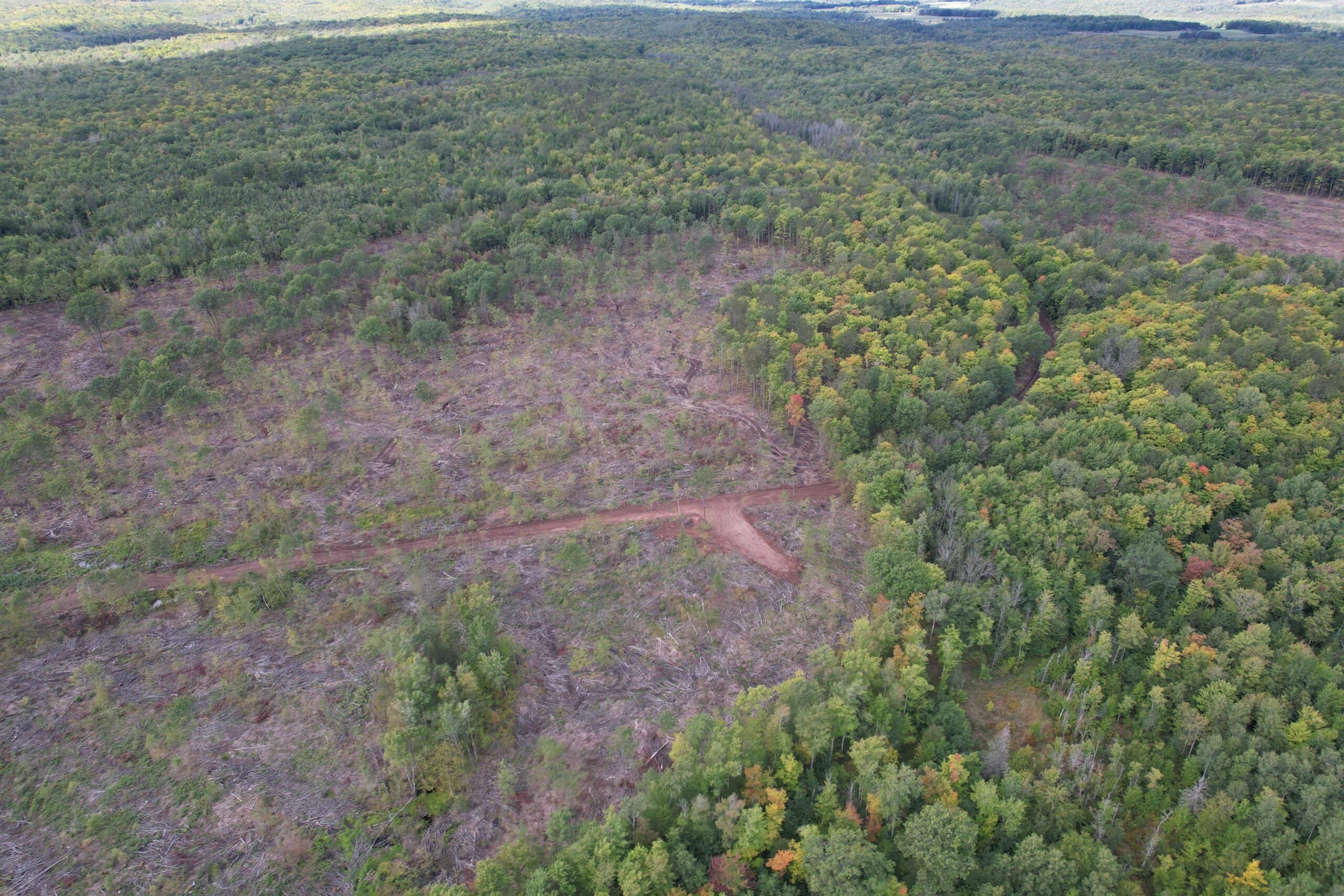 Land for Sale in Ashland County, Wisconsin